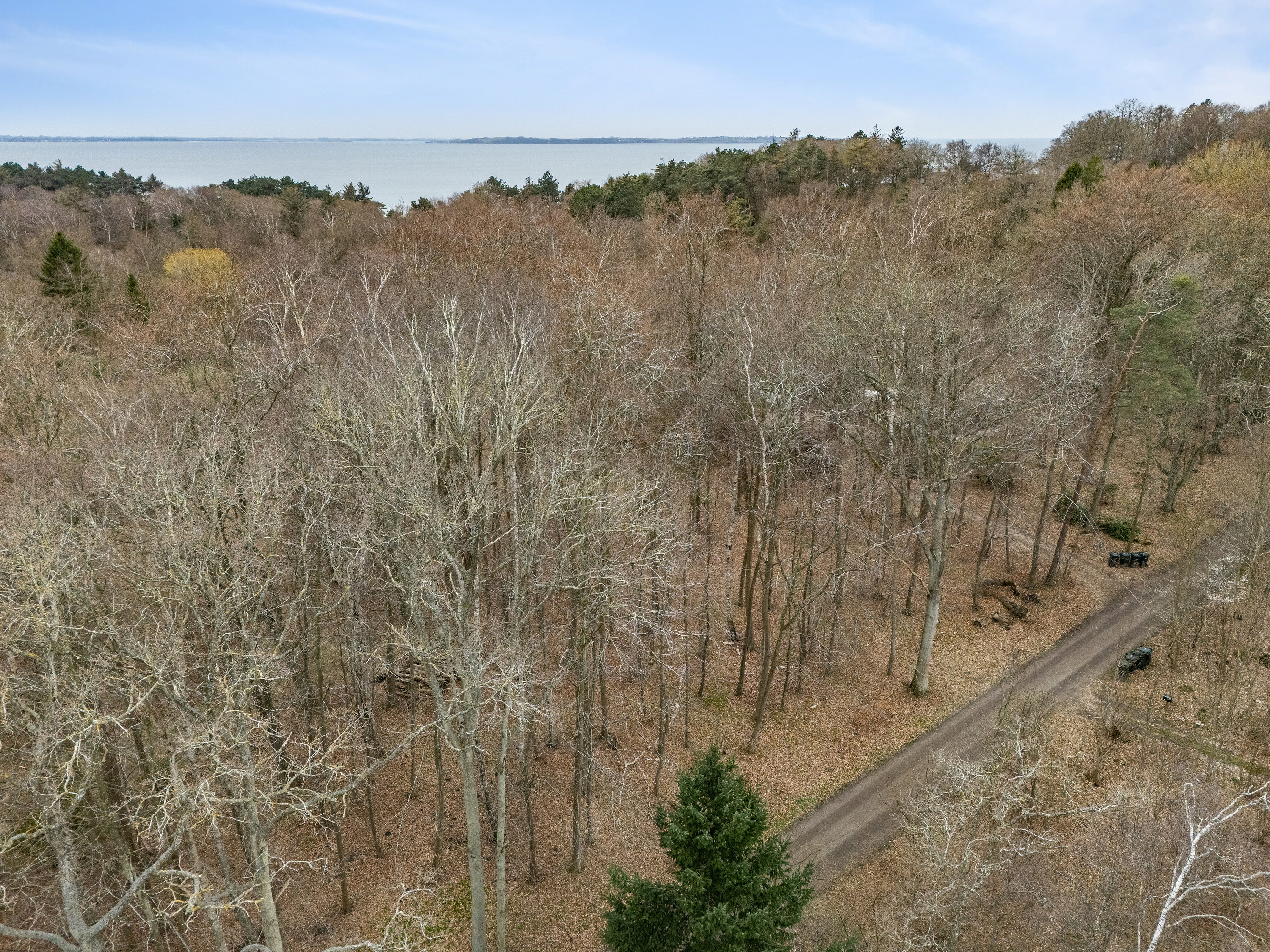 Knarbo Mose 3, Kårup Skov, 4540 Fårevejle