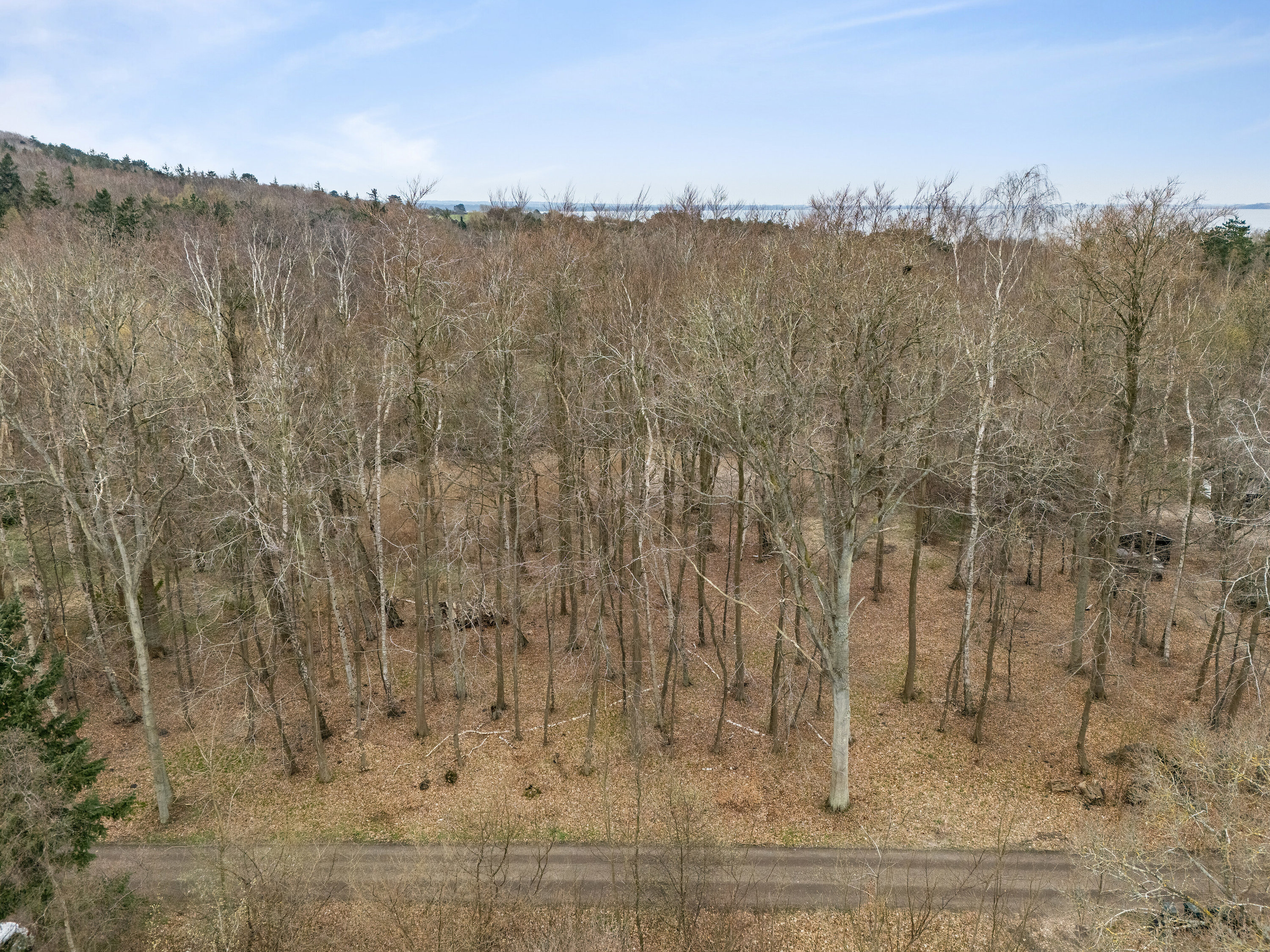 Knarbo Mose 3, Kårup Skov, 4540 Fårevejle