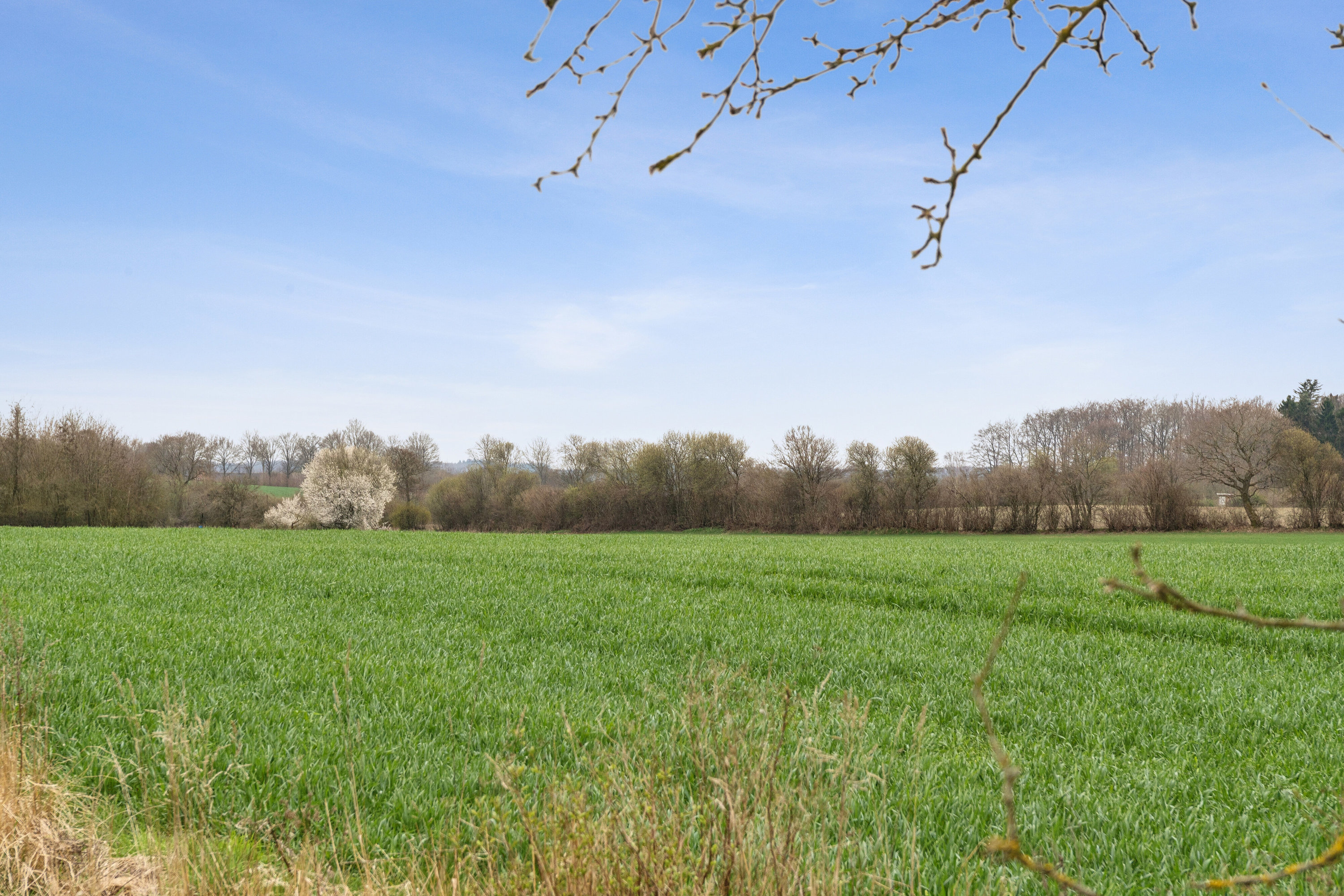 Fremhævet set fra haven billede i fuldskærmstilstand. Billede af Fjellebrovej 9, Herringe, 5750 Ringe