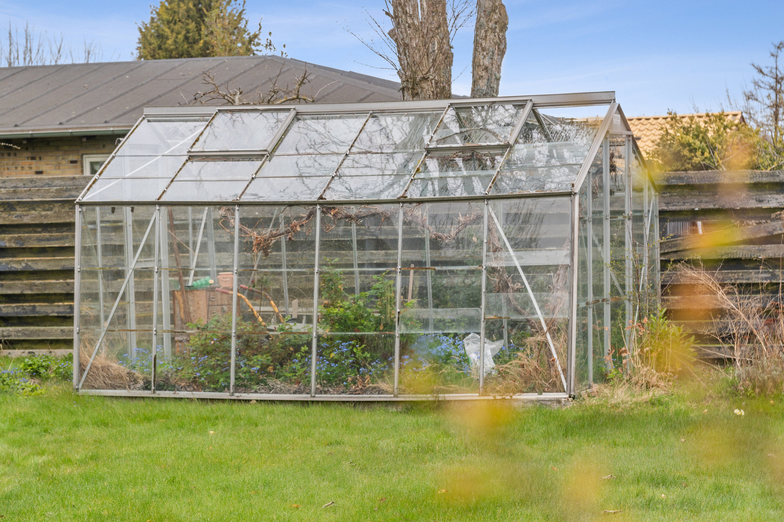 Fremhævet drivhus billede i fuldskærmstilstand. Billede af Forsythiavej 12, 8270 Højbjerg