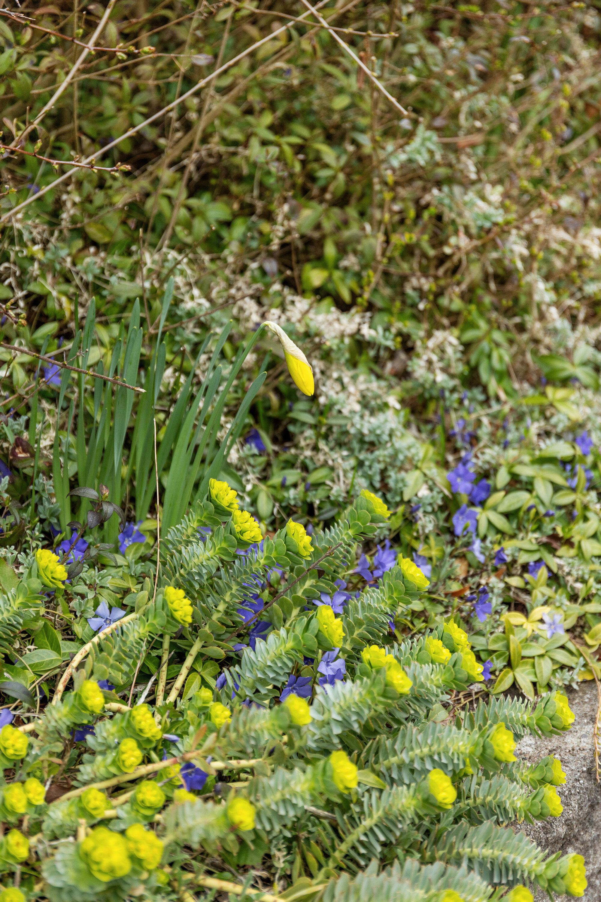 Fremhævet udendørs billede i fuldskærmstilstand. Billede af Fuglevænget 18, Bisserup, 4243 Rude