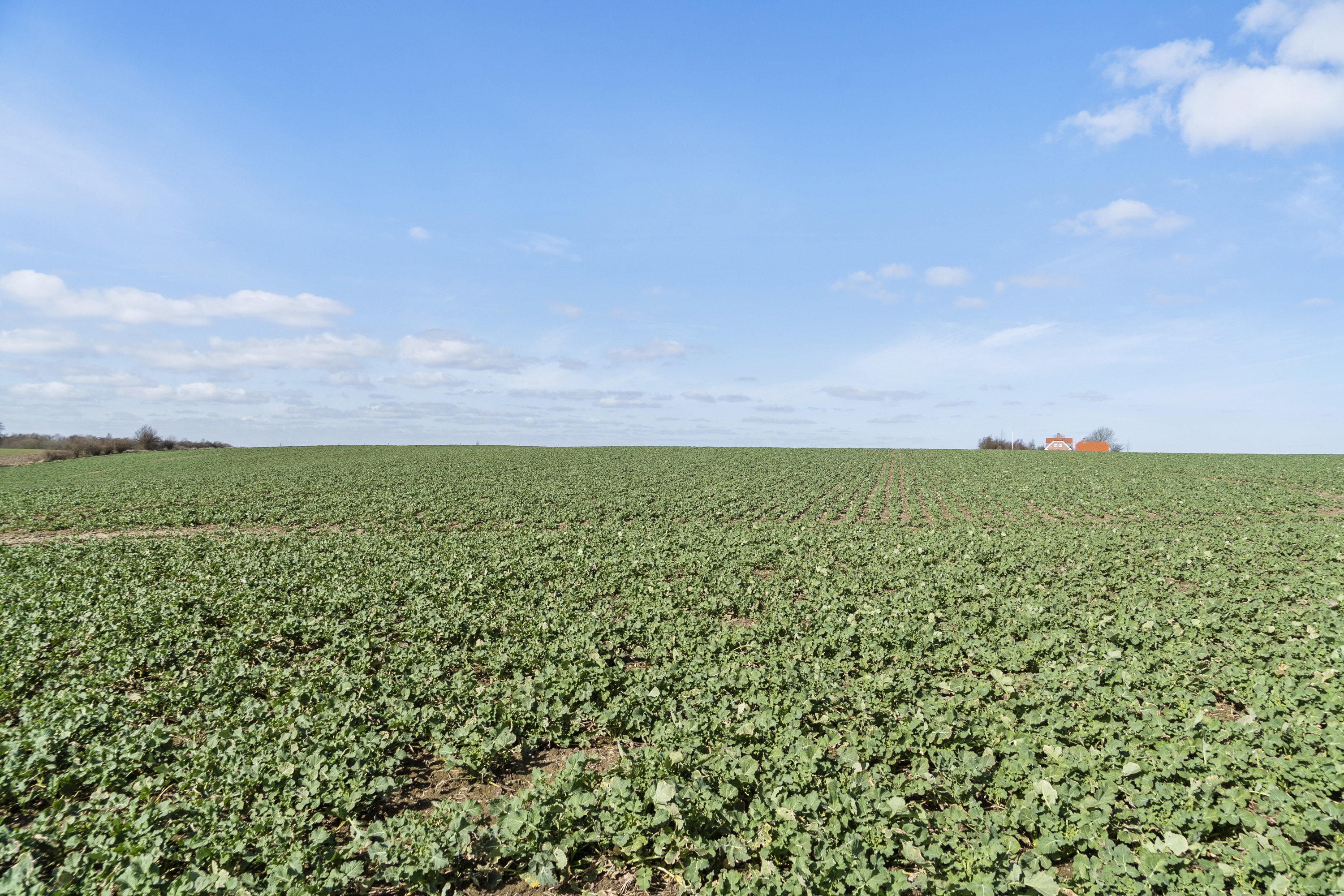 Fremhævet  billede i fuldskærmstilstand. Billede af Gramrodevej 12, Gramrode, 7130 Juelsminde