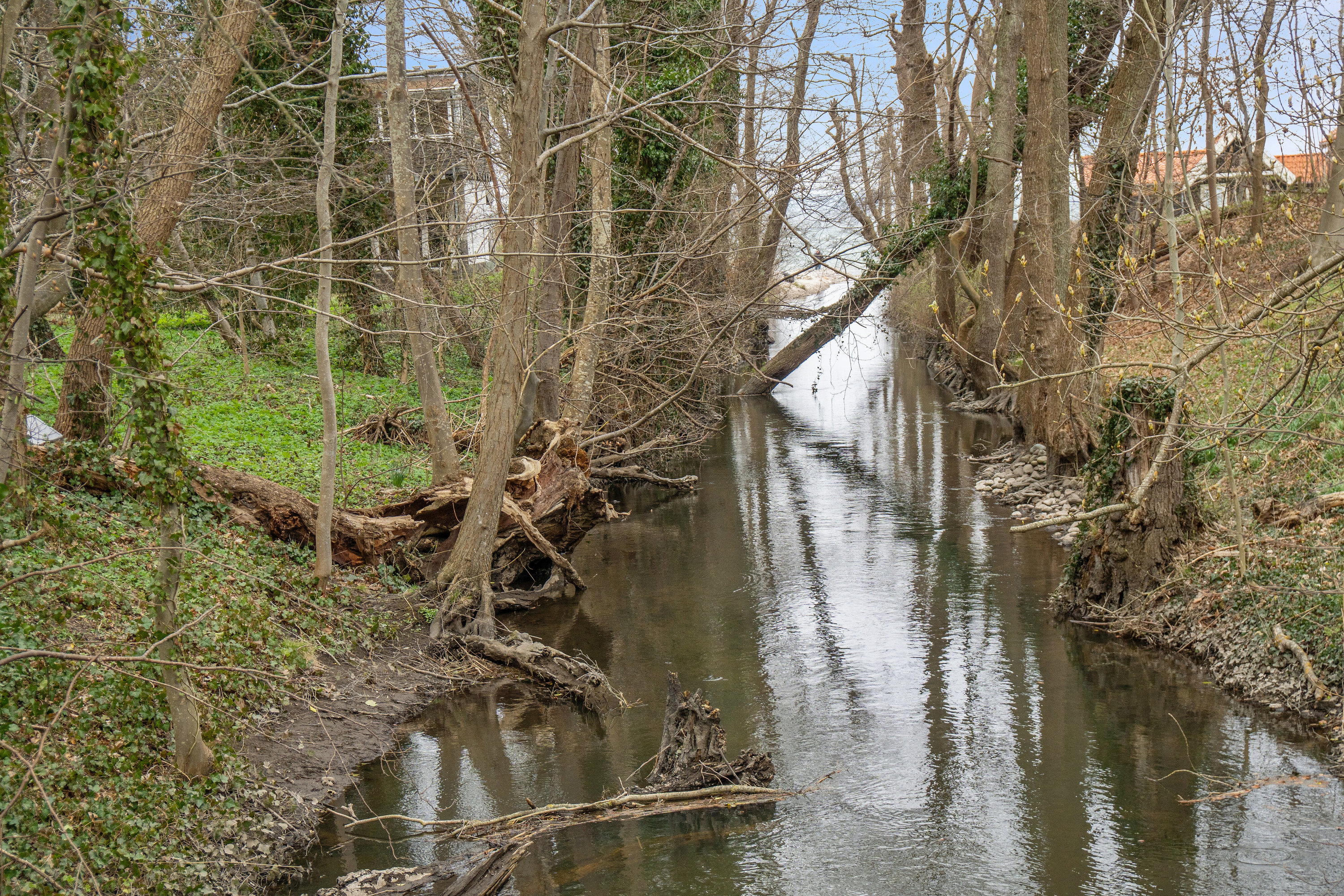 Fremhævet omgivelser billede i fuldskærmstilstand. Billede af Mølledalen 4, 3120 Dronningmølle