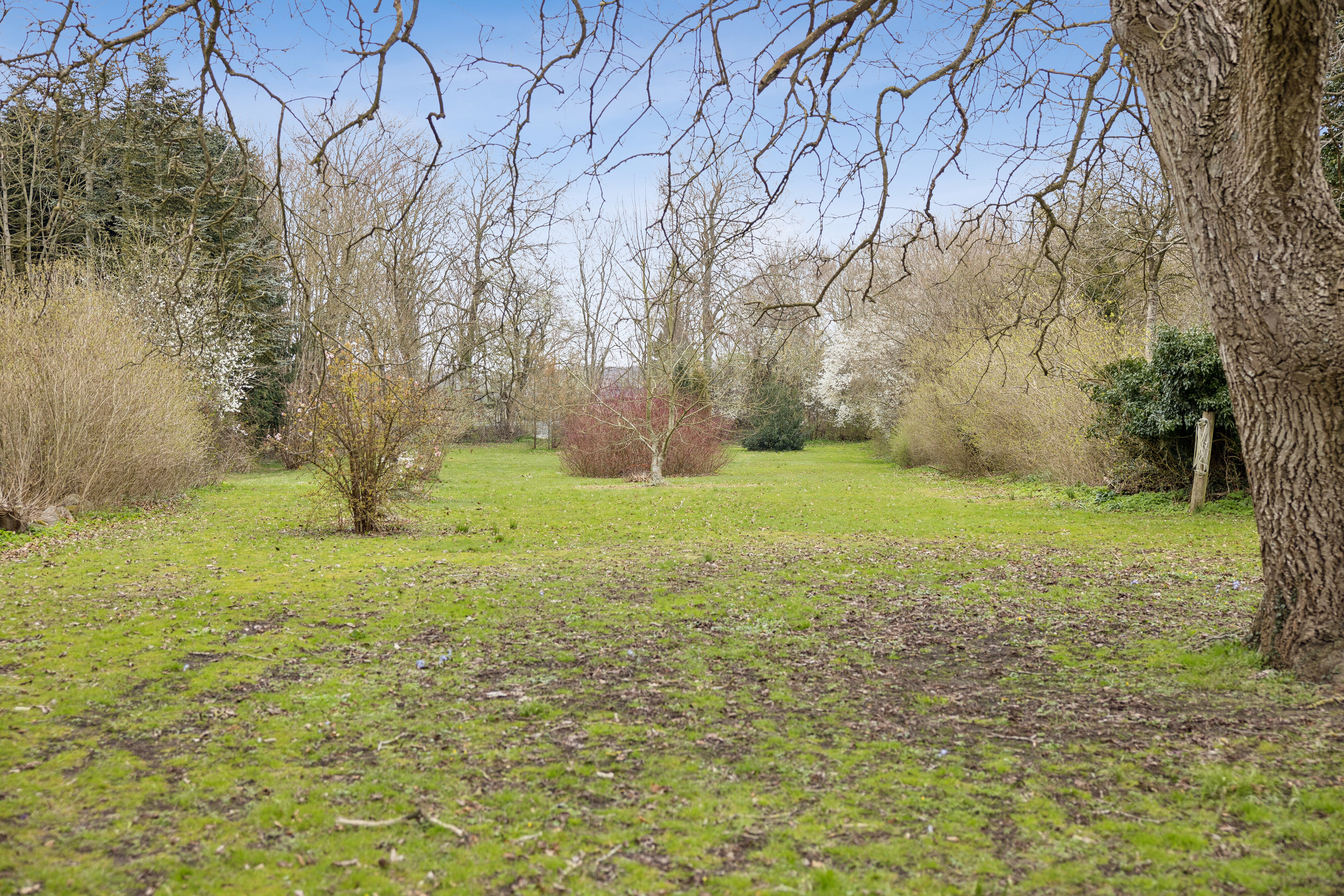 Fremhævet set fra haven billede i fuldskærmstilstand. Billede af Davinde Bygade 36, Davinde, 5220 Odense SØ