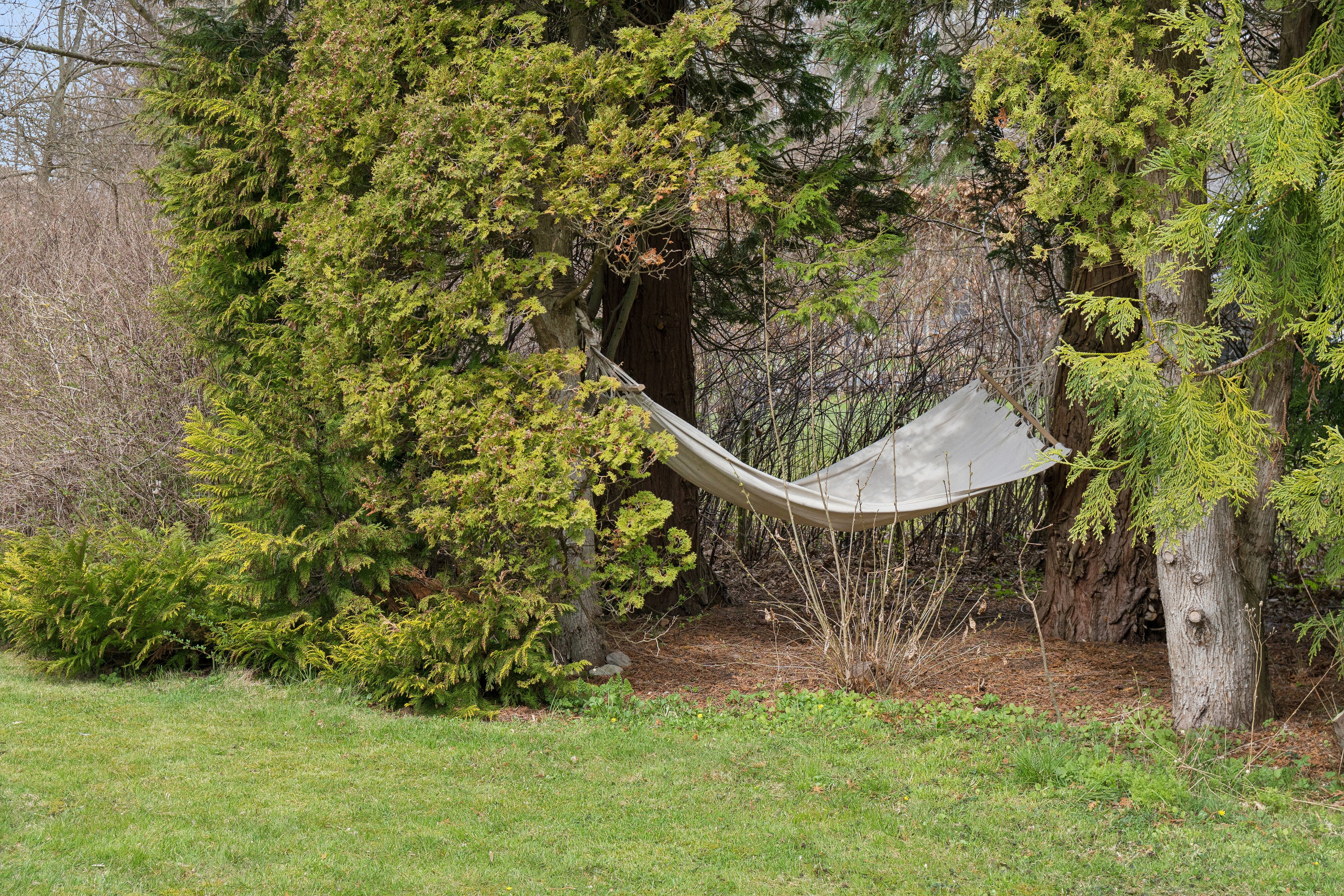 Fremhævet udendørs billede i fuldskærmstilstand. Billede af Mølledalen 4, 3120 Dronningmølle