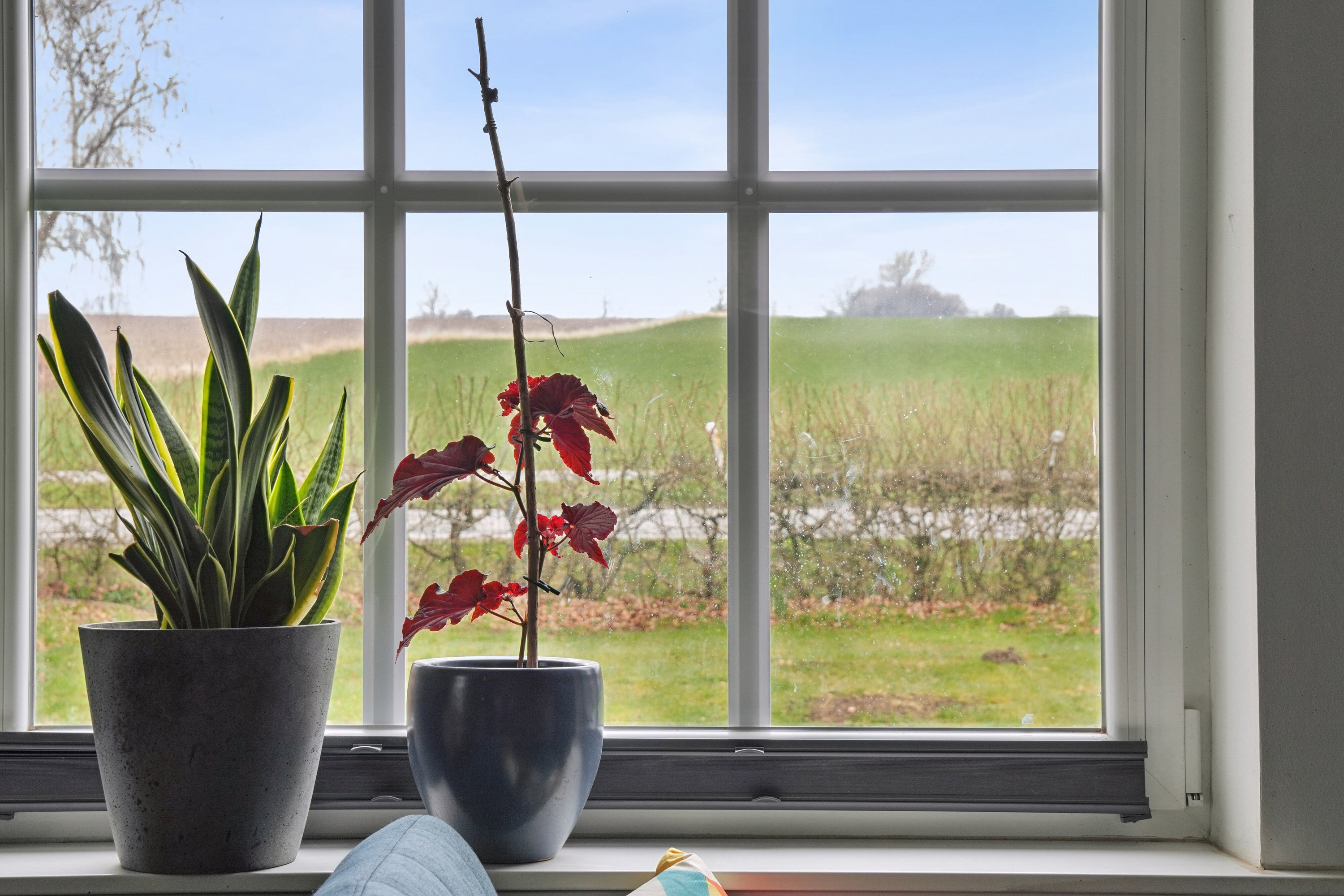 Fremhævet udsigt billede i fuldskærmstilstand. Billede af Frørupvej 41, 5871 Frørup