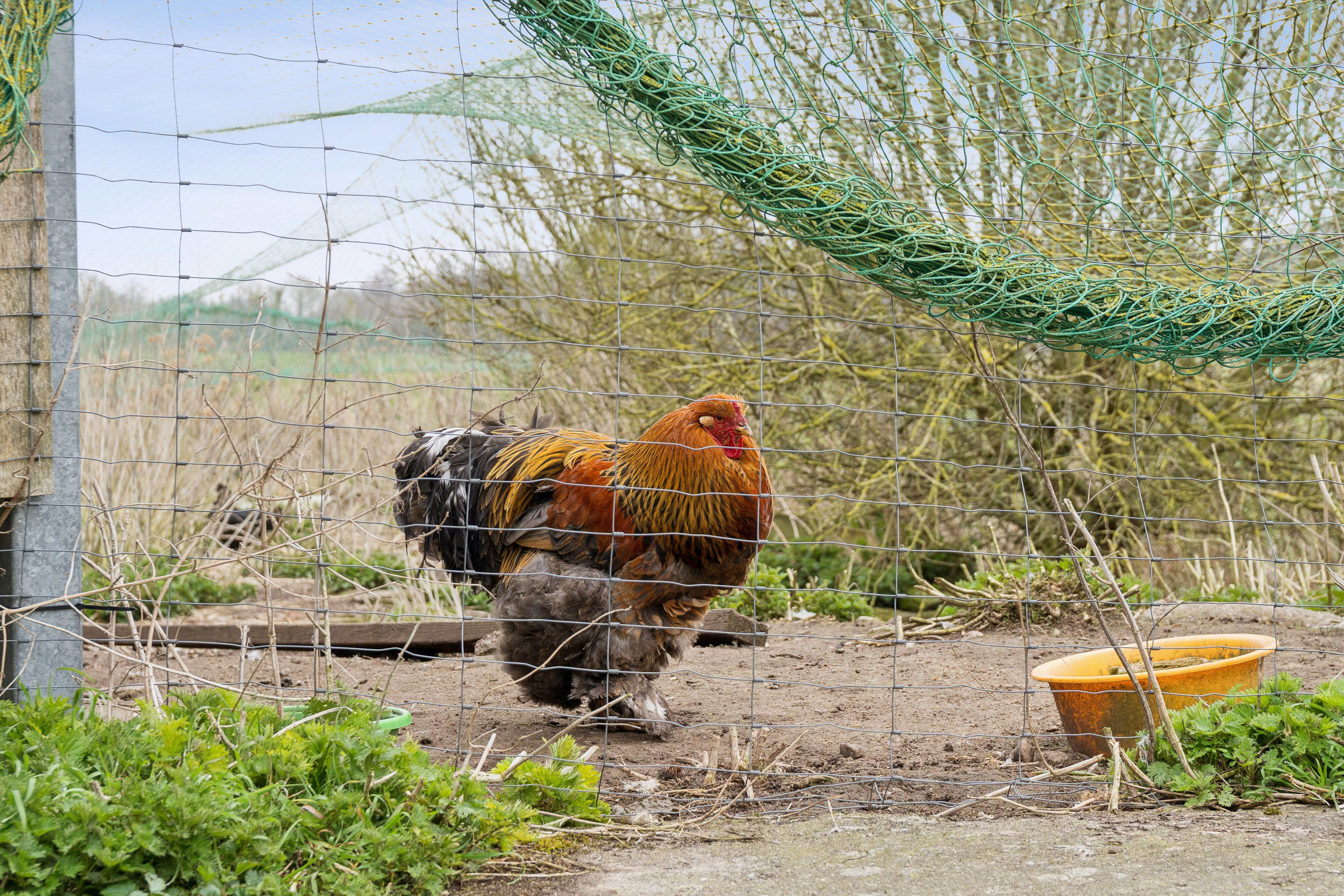 Fremhævet udendørs billede i fuldskærmstilstand. Billede af Frørupvej 41, 5871 Frørup