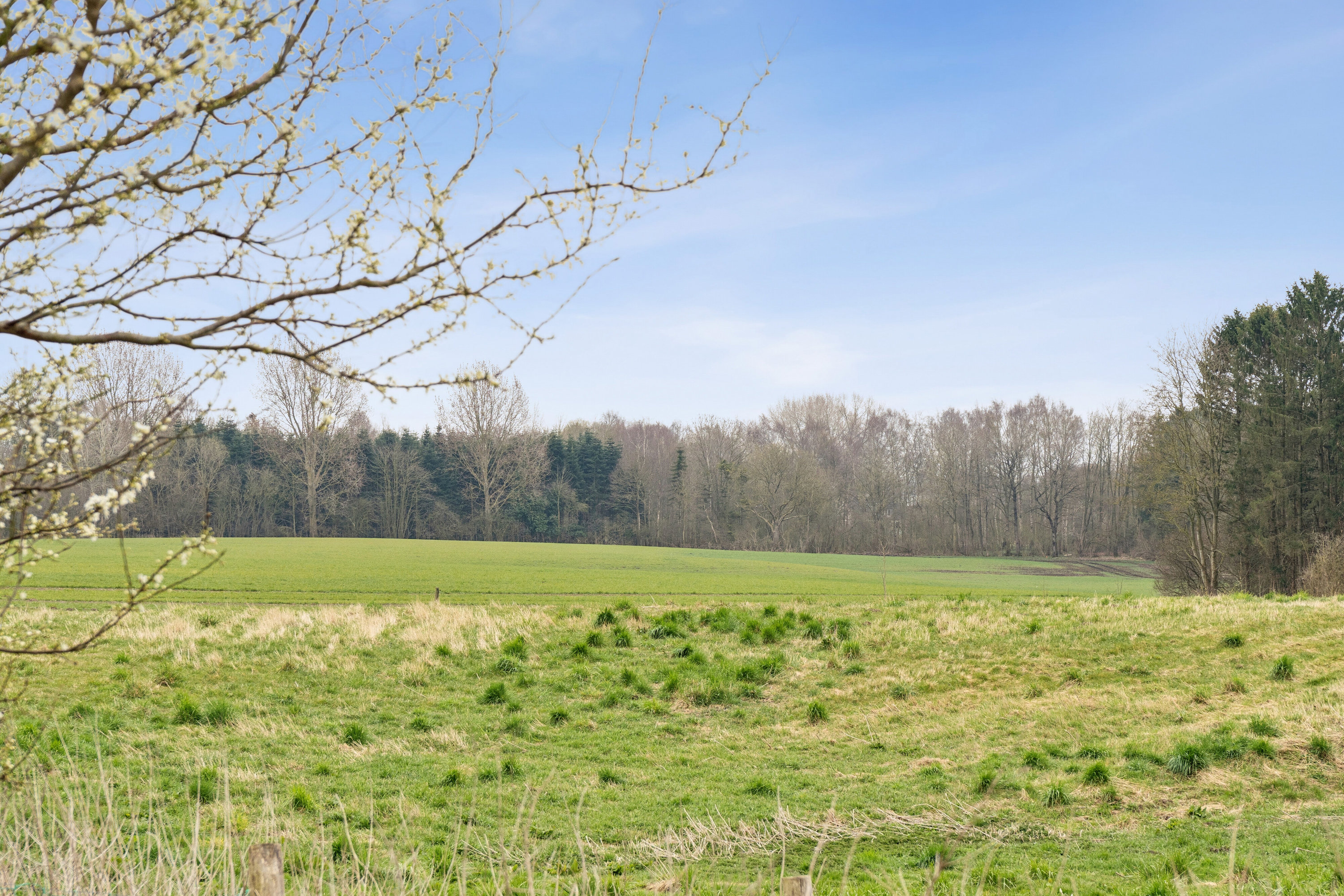 Fremhævet omgivelser billede i fuldskærmstilstand. Billede af Frørupvej 41, 5871 Frørup