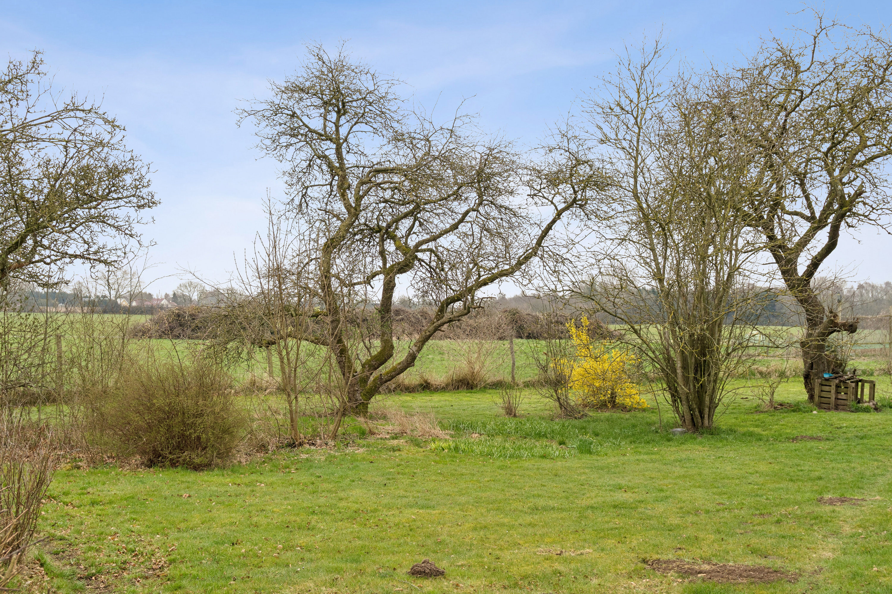 Fremhævet omgivelser billede i fuldskærmstilstand. Billede af Frørupvej 41, 5871 Frørup