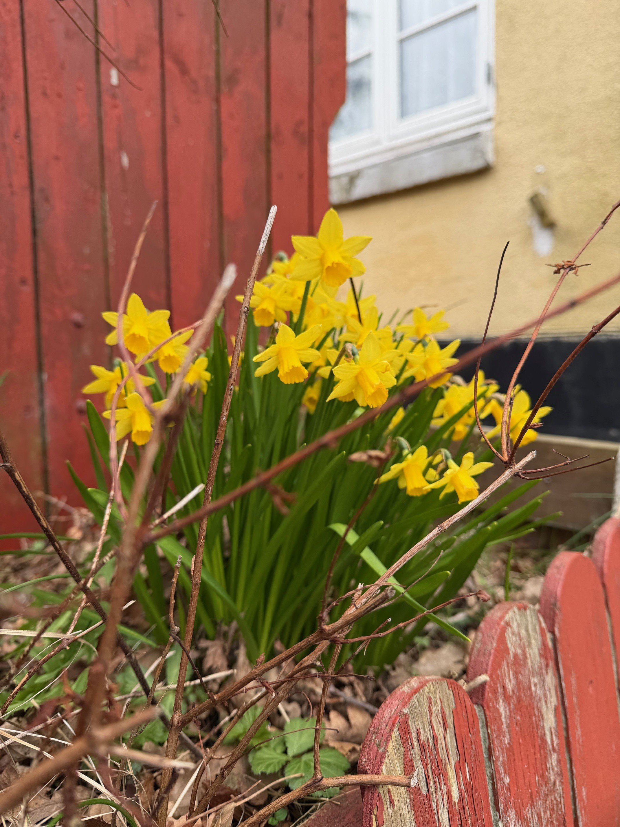 Fremhævet  billede i fuldskærmstilstand. Billede af Nørreled 13, 9990 Skagen