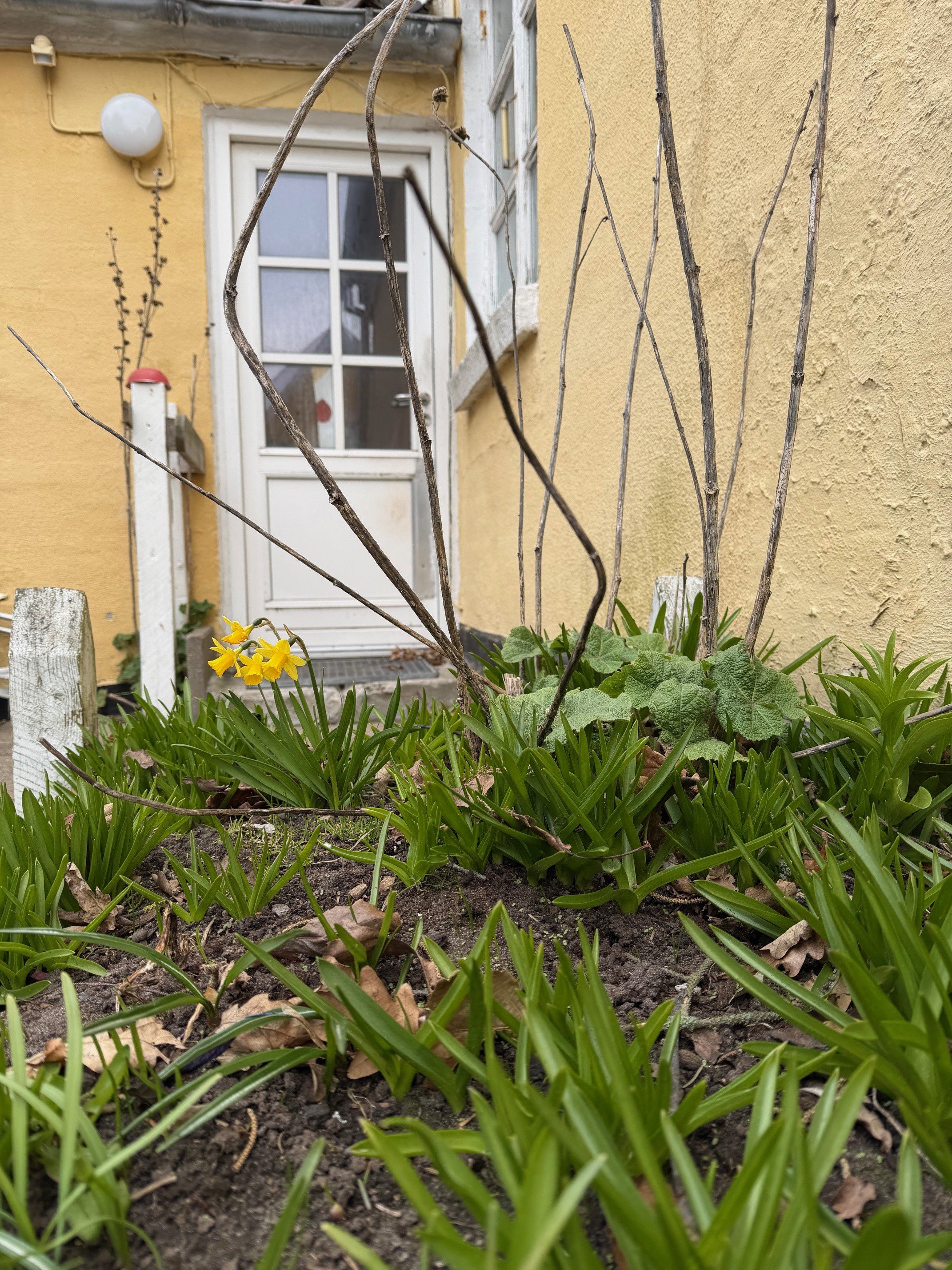 Fremhævet  billede i fuldskærmstilstand. Billede af Nørreled 13, 9990 Skagen