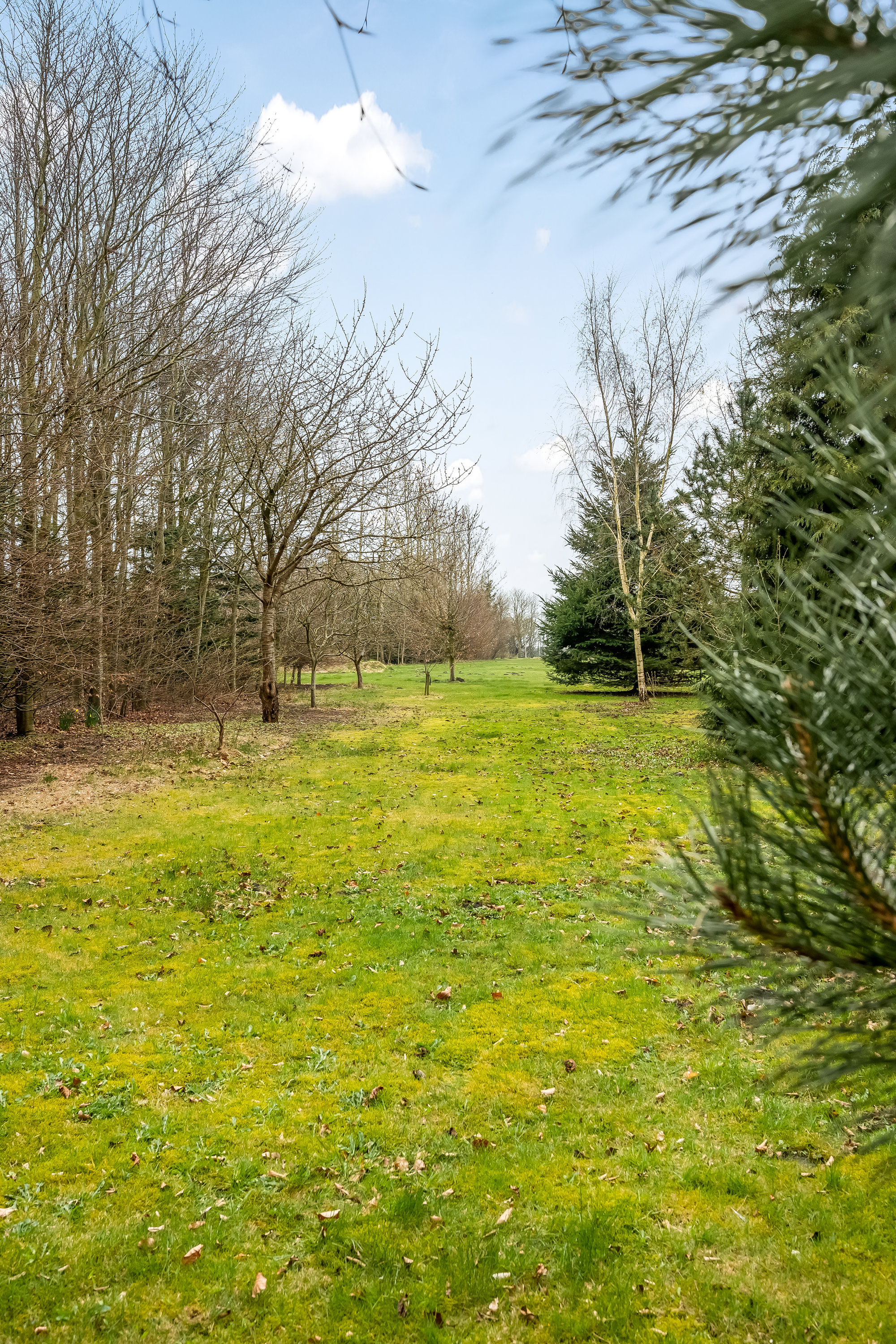 Fremhævet andet billede i fuldskærmstilstand. Billede af Sønderskovvej 13, Nordenskov, 6800 Varde