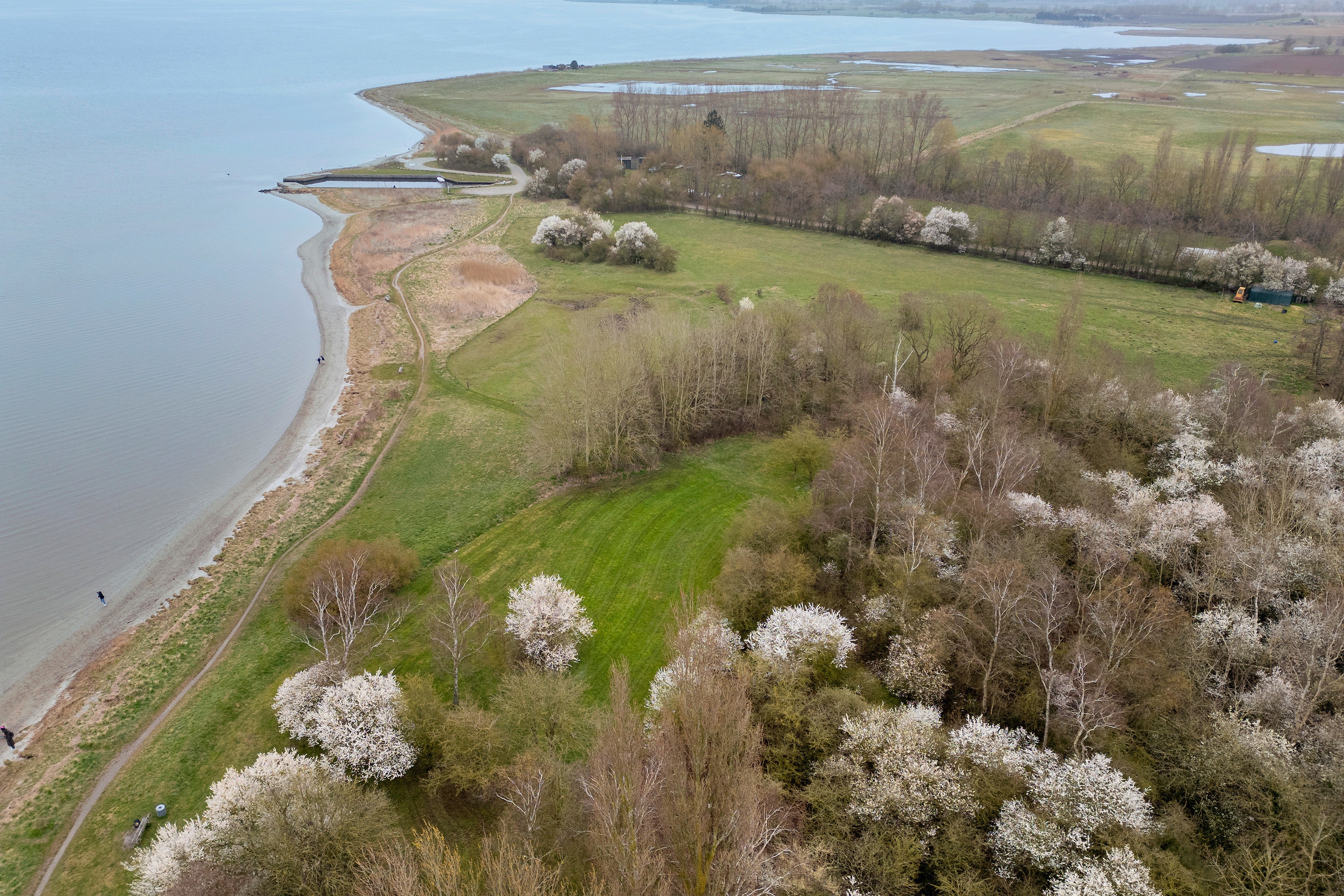 Fremhævet område billede i fuldskærmstilstand. Billede af Muslingevej 27, del 1., Seden, 5240 Odense NØ