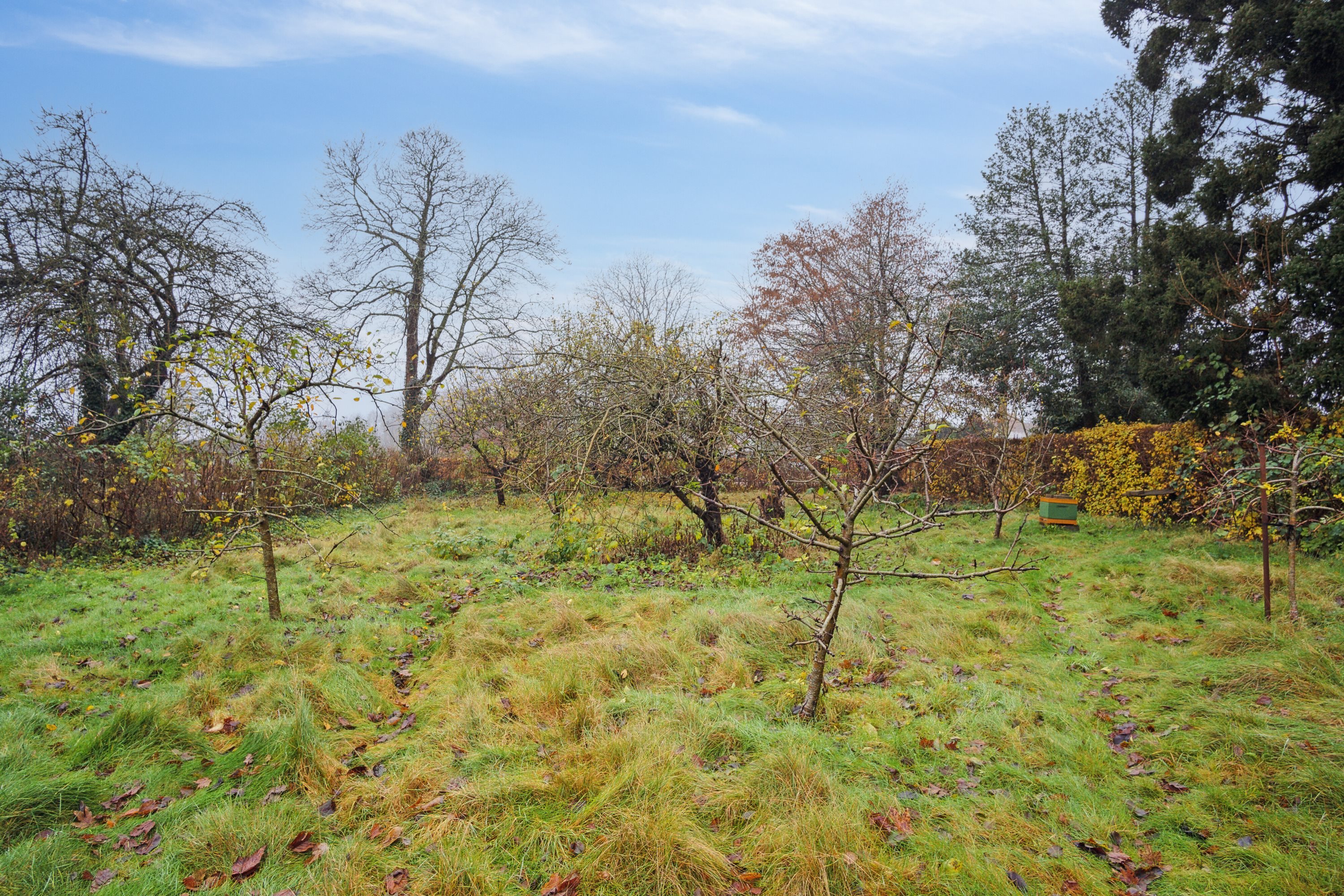 Fremhævet udendørs billede i fuldskærmstilstand. Billede af Rødding Vestergade 14, 6630 Rødding
