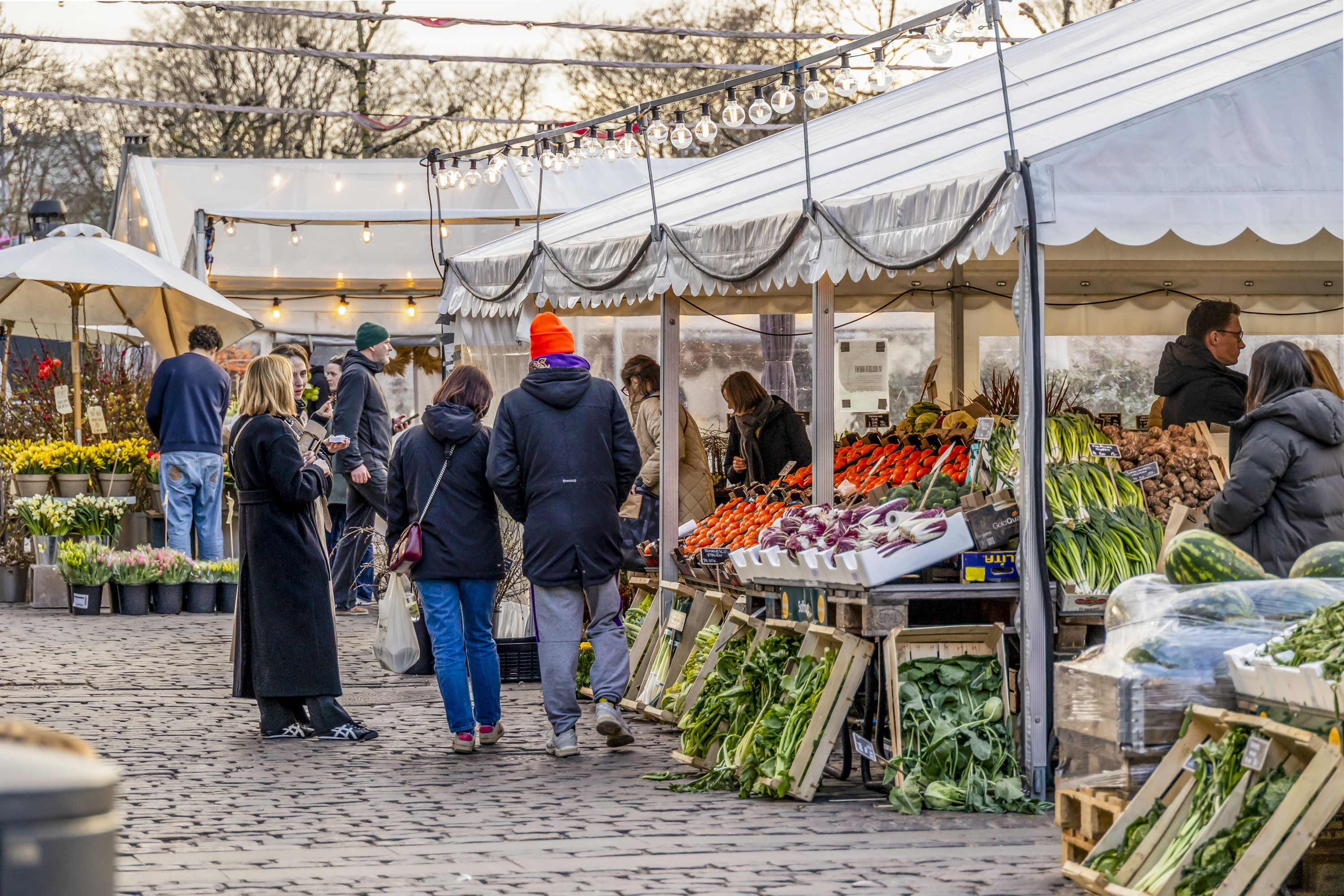 Fremhævet  billede i fuldskærmstilstand. Billede af Vendersgade 12, 2. th., 1363 København K