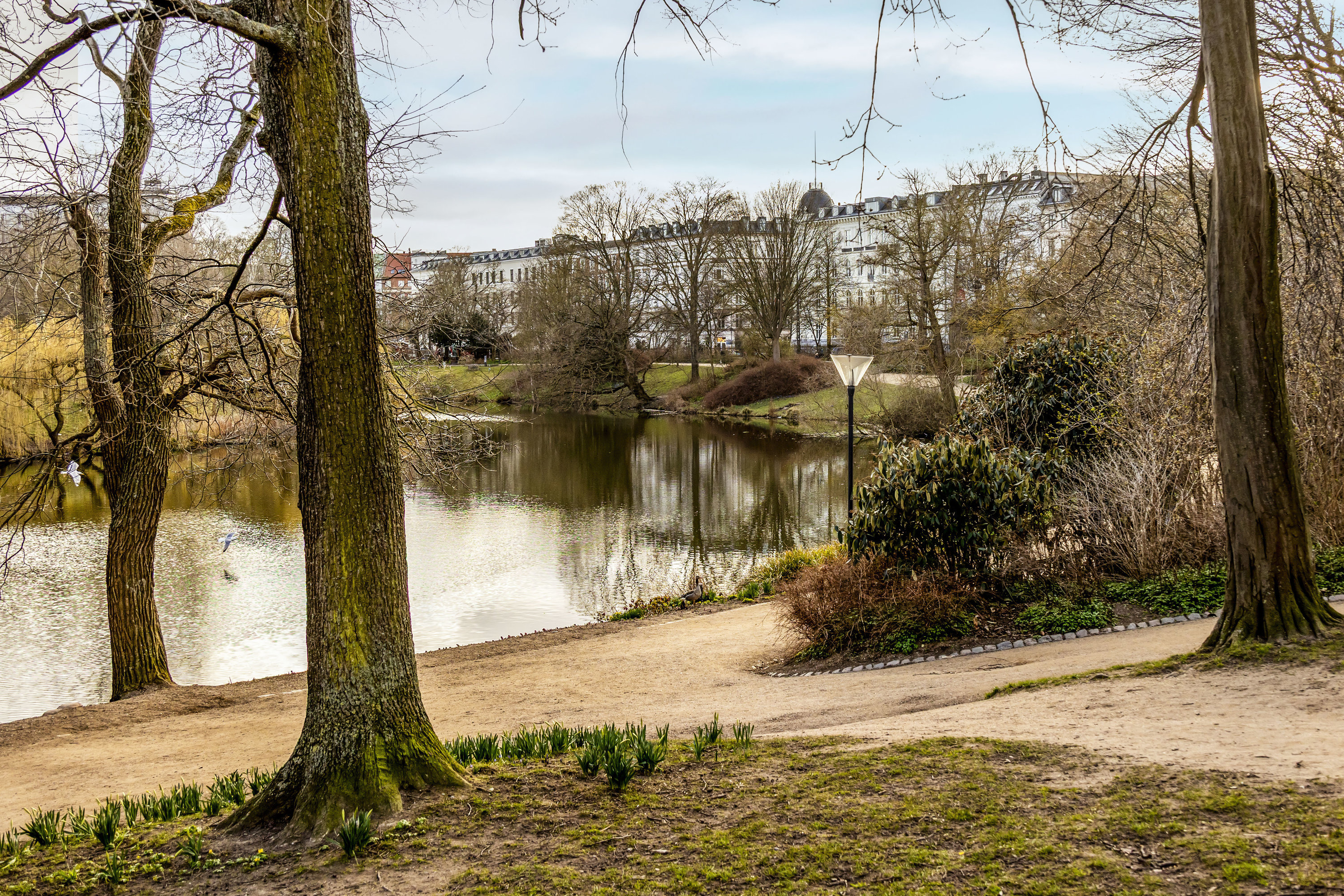Fremhævet  billede i fuldskærmstilstand. Billede af Vendersgade 12, 2. th., 1363 København K