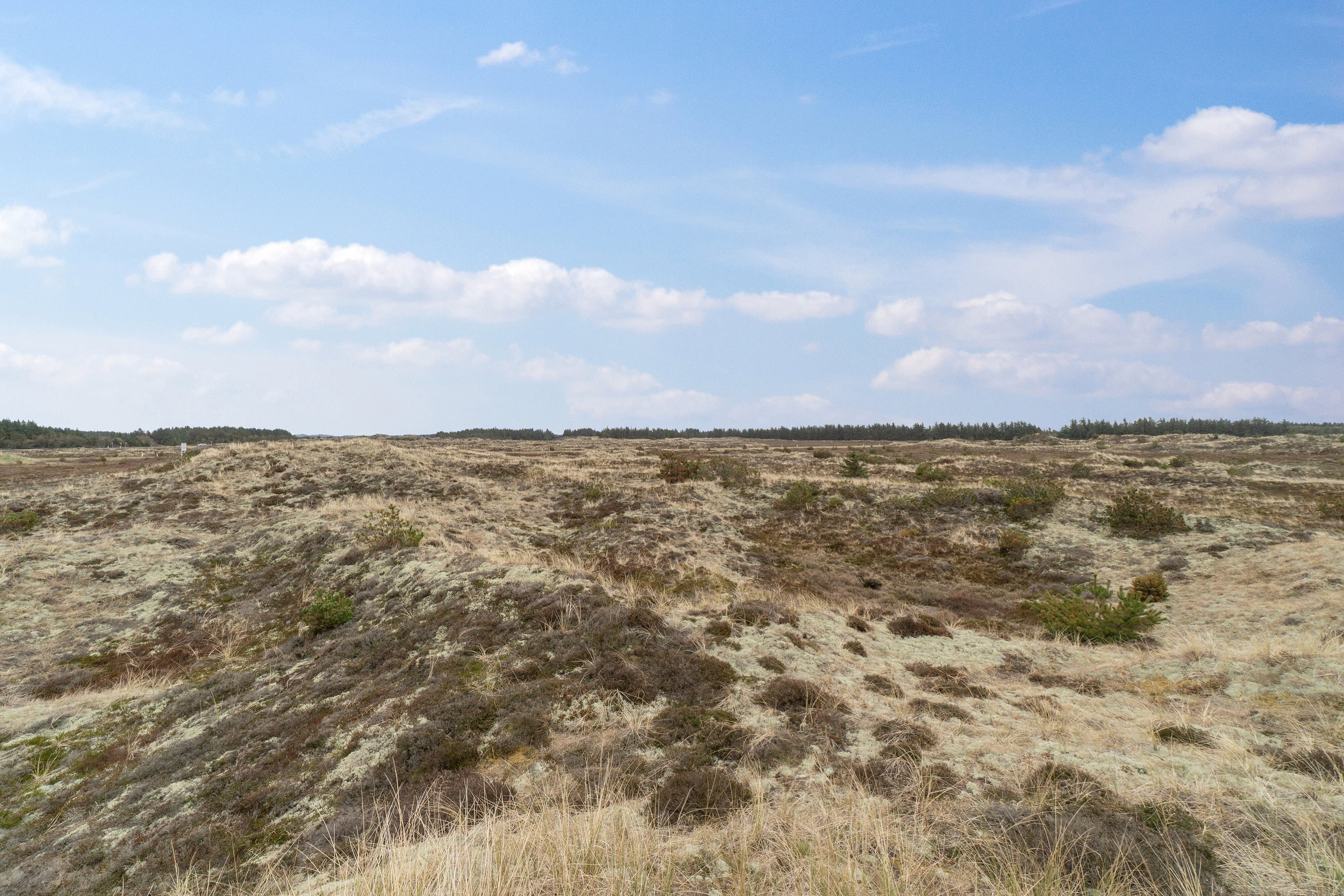 Sortebærbakken 39, Vorupør, 7700 Thisted