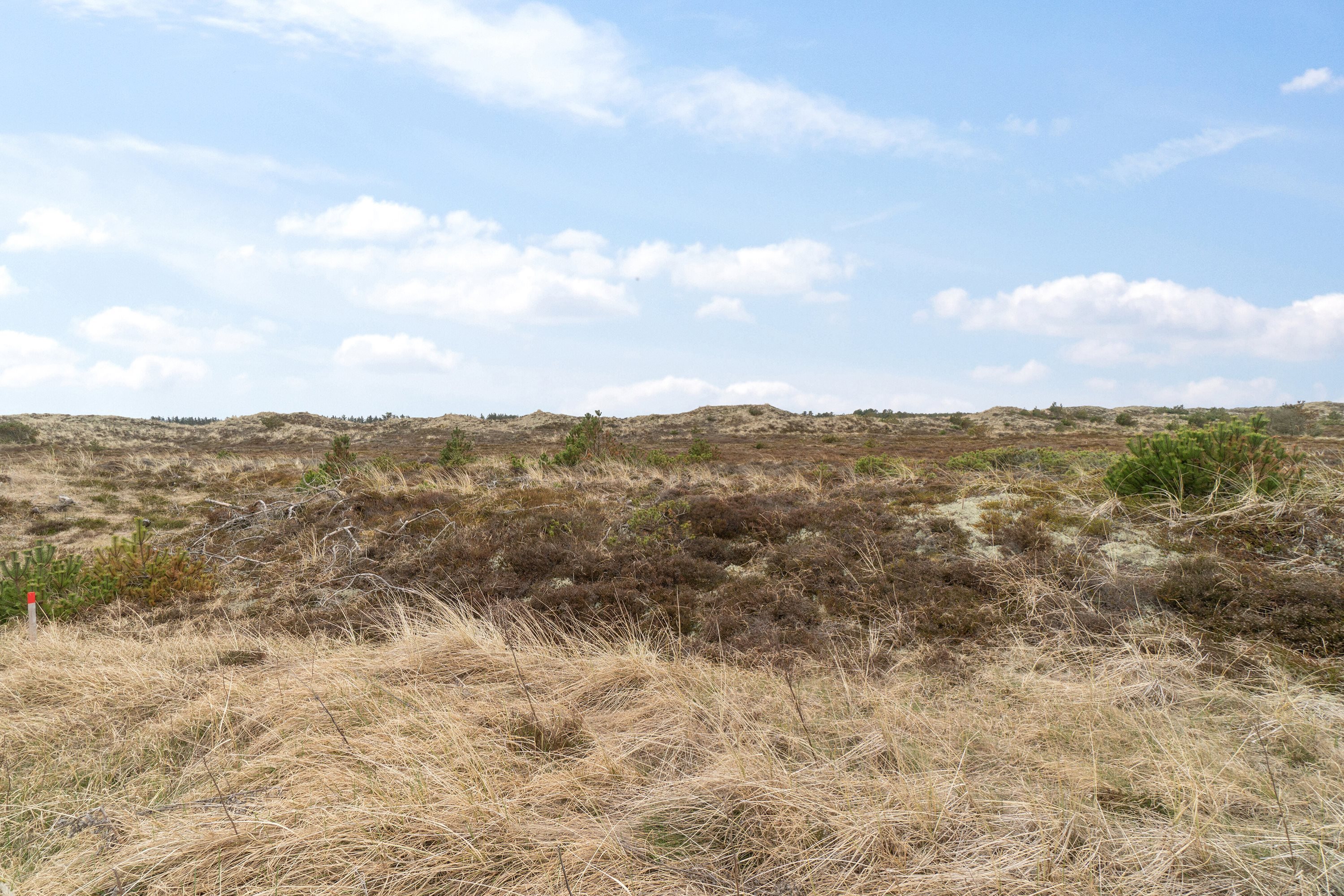Fremhævet grund billede i fuldskærmstilstand. Billede af Sortebærbakken 39, Vorupør, 7700 Thisted