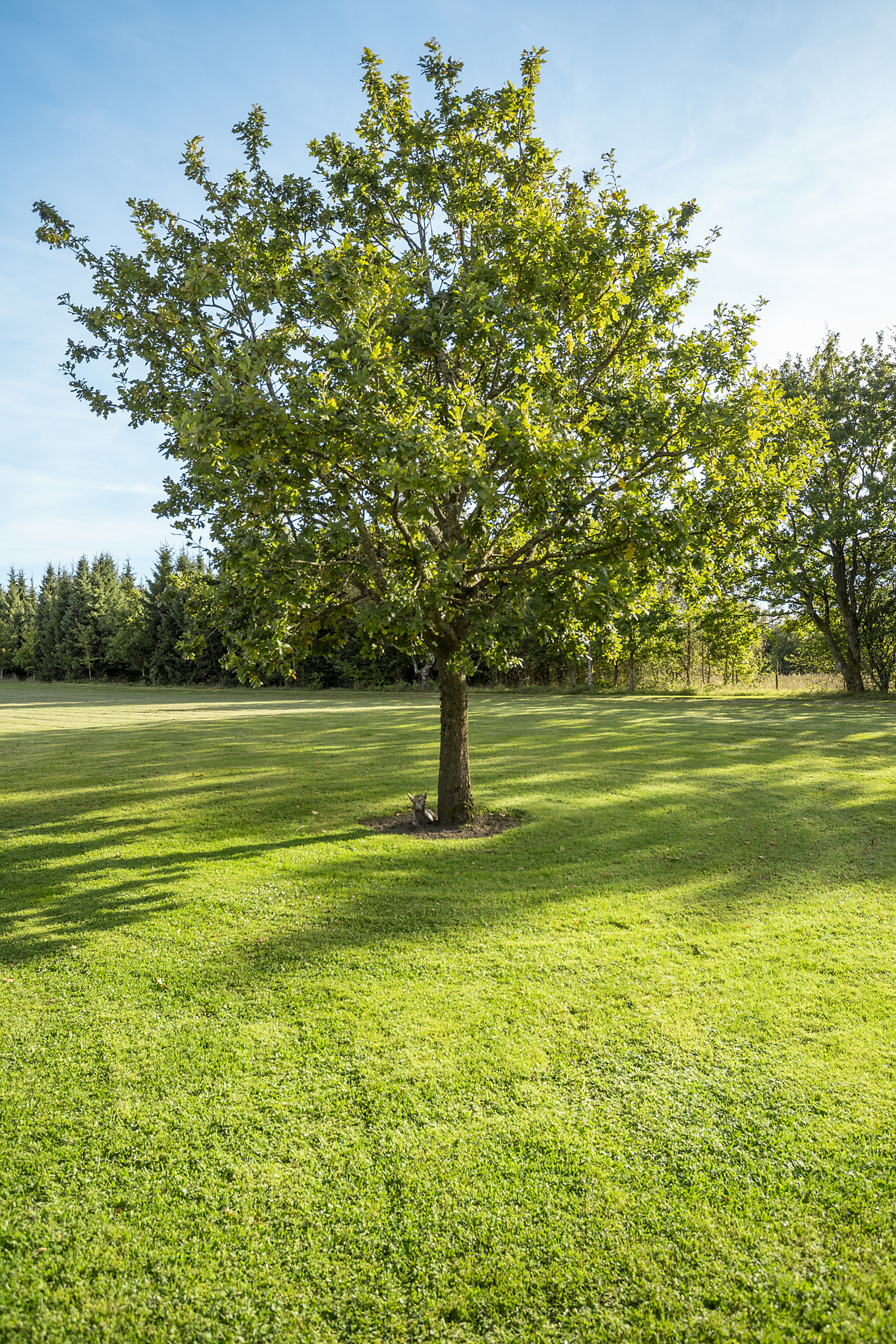 Fremhævet  billede i fuldskærmstilstand. Billede af Hedehusvej 14, Løgager, 8600 Silkeborg