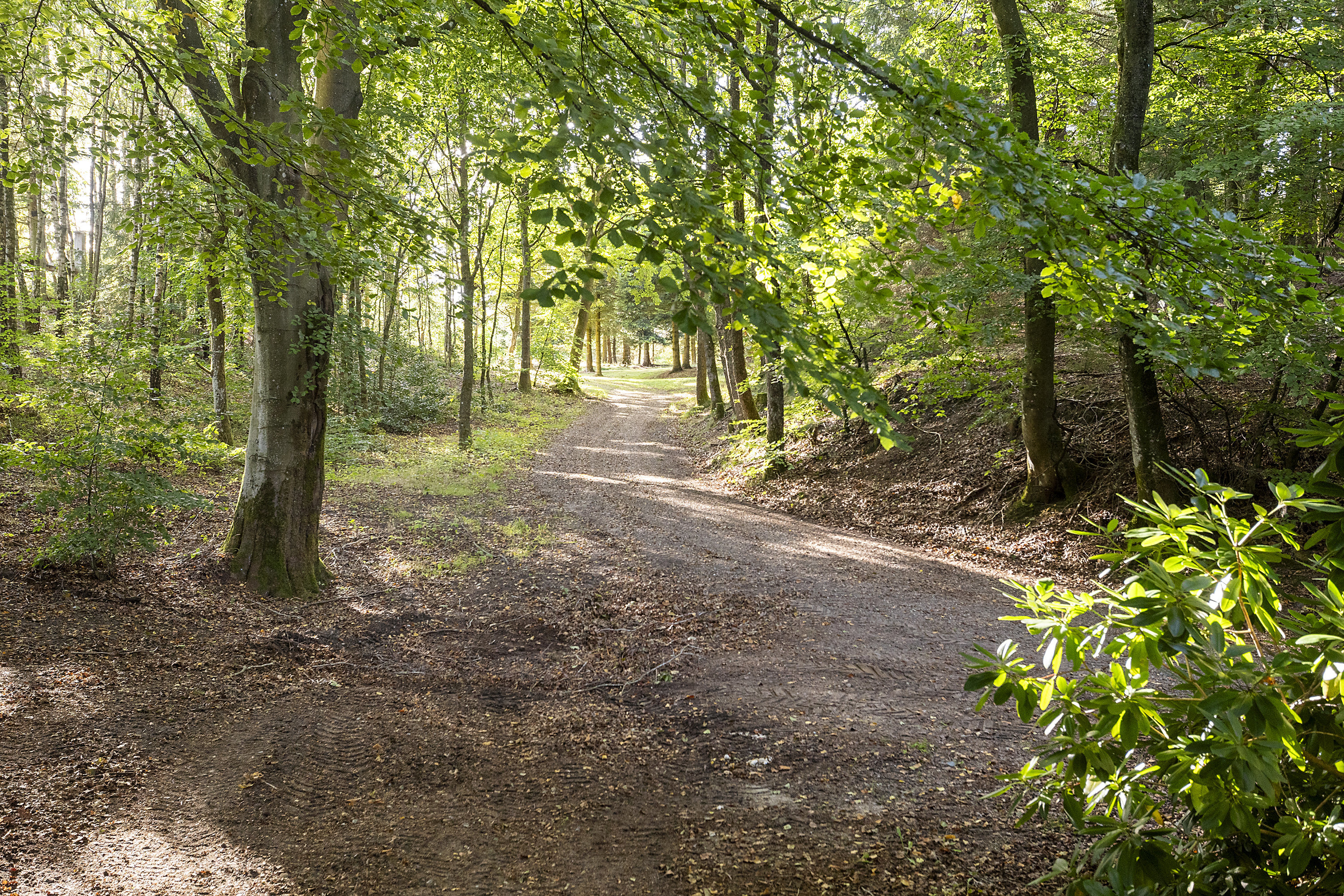 Fremhævet  billede i fuldskærmstilstand. Billede af Hedehusvej 14, Løgager, 8600 Silkeborg