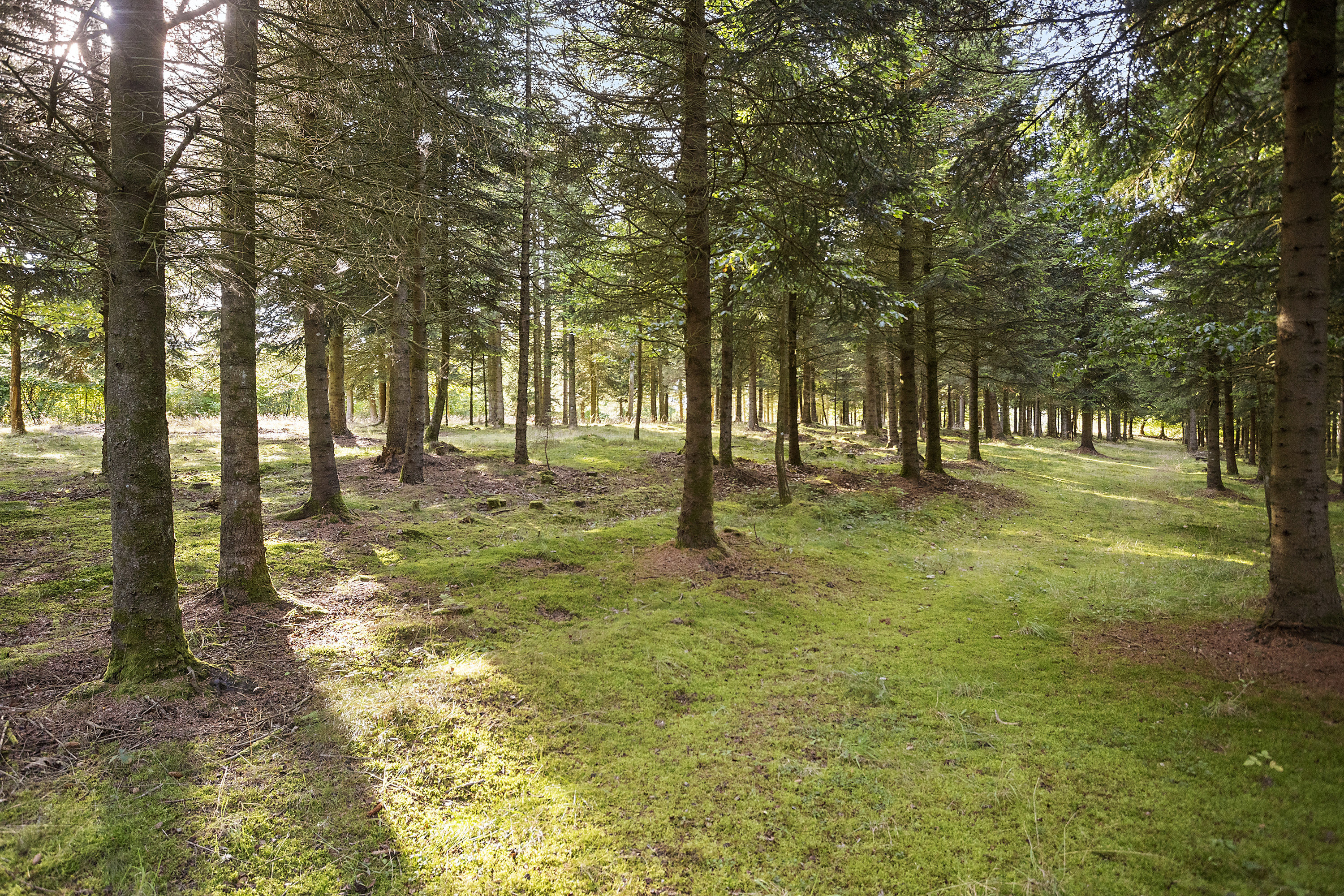 Fremhævet  billede i fuldskærmstilstand. Billede af Hedehusvej 14, Løgager, 8600 Silkeborg