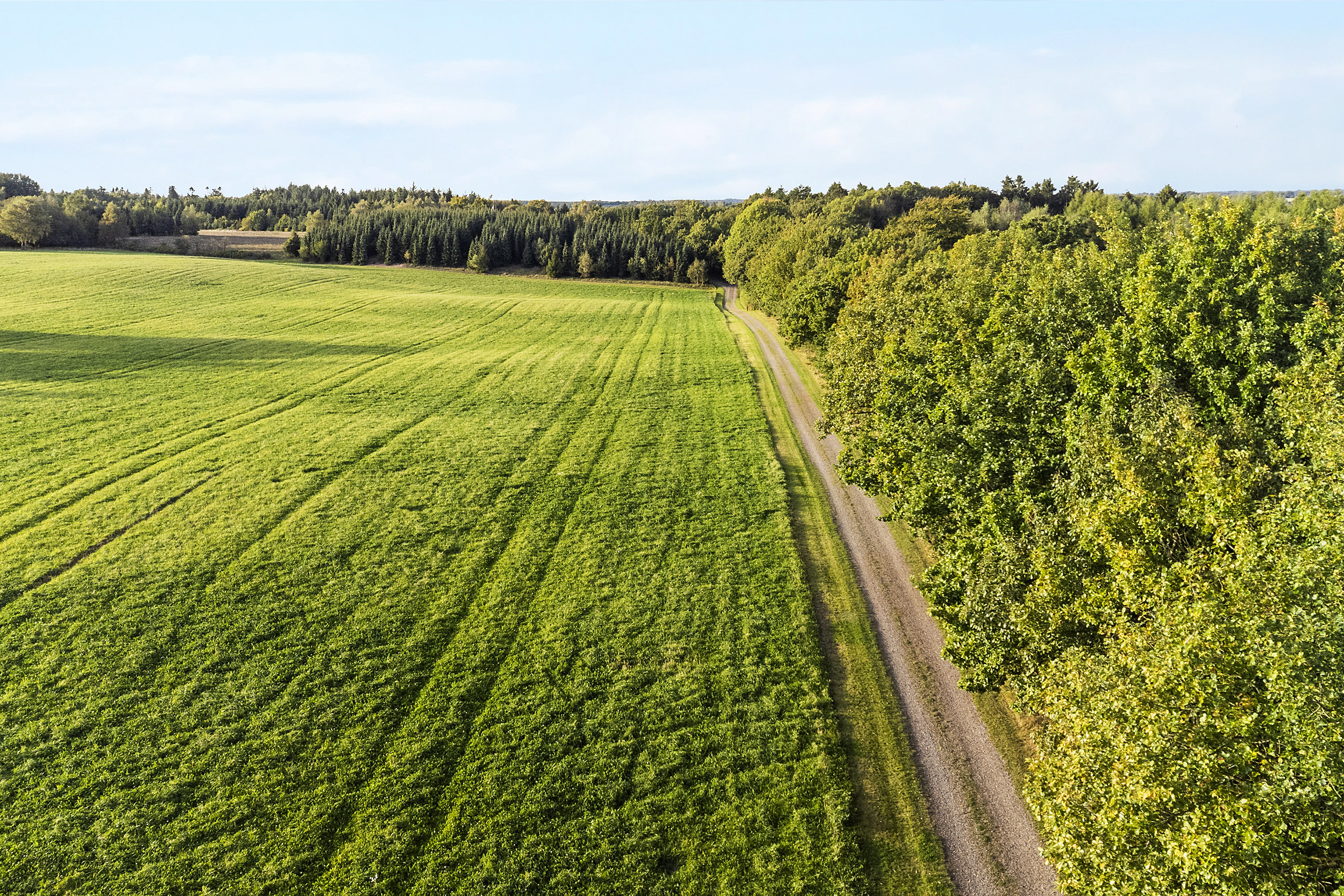 Fremhævet  billede i fuldskærmstilstand. Billede af Hedehusvej 14, Løgager, 8600 Silkeborg