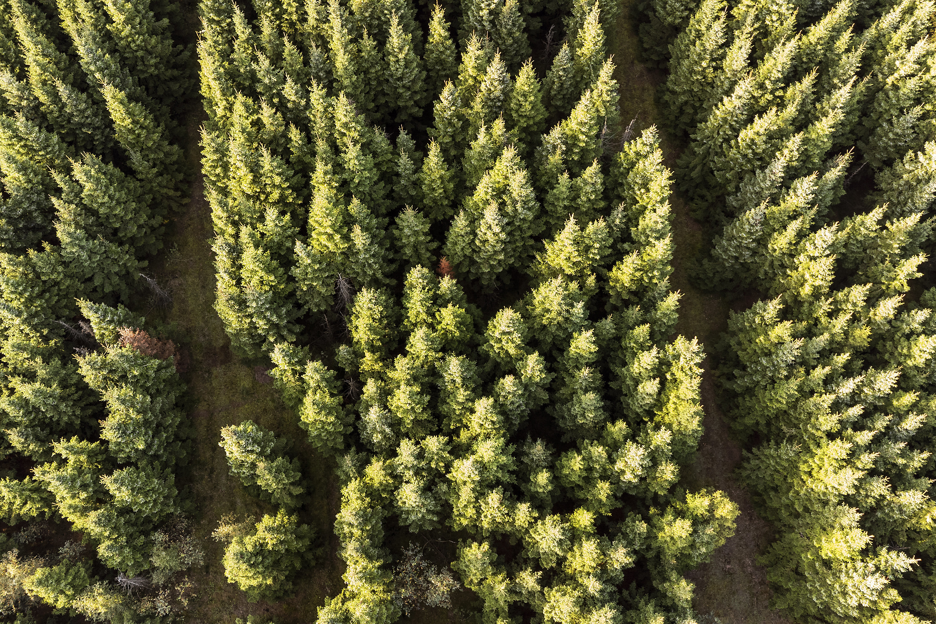 Fremhævet  billede i fuldskærmstilstand. Billede af Hedehusvej 14, Løgager, 8600 Silkeborg