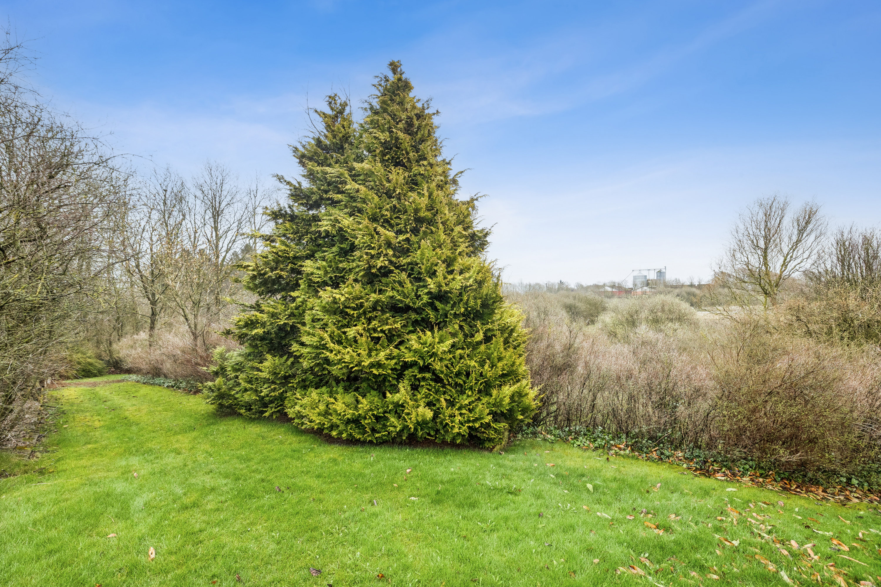Fremhævet have billede i fuldskærmstilstand. Billede af Nr Redsøvej 2, Redsø, 9500 Hobro