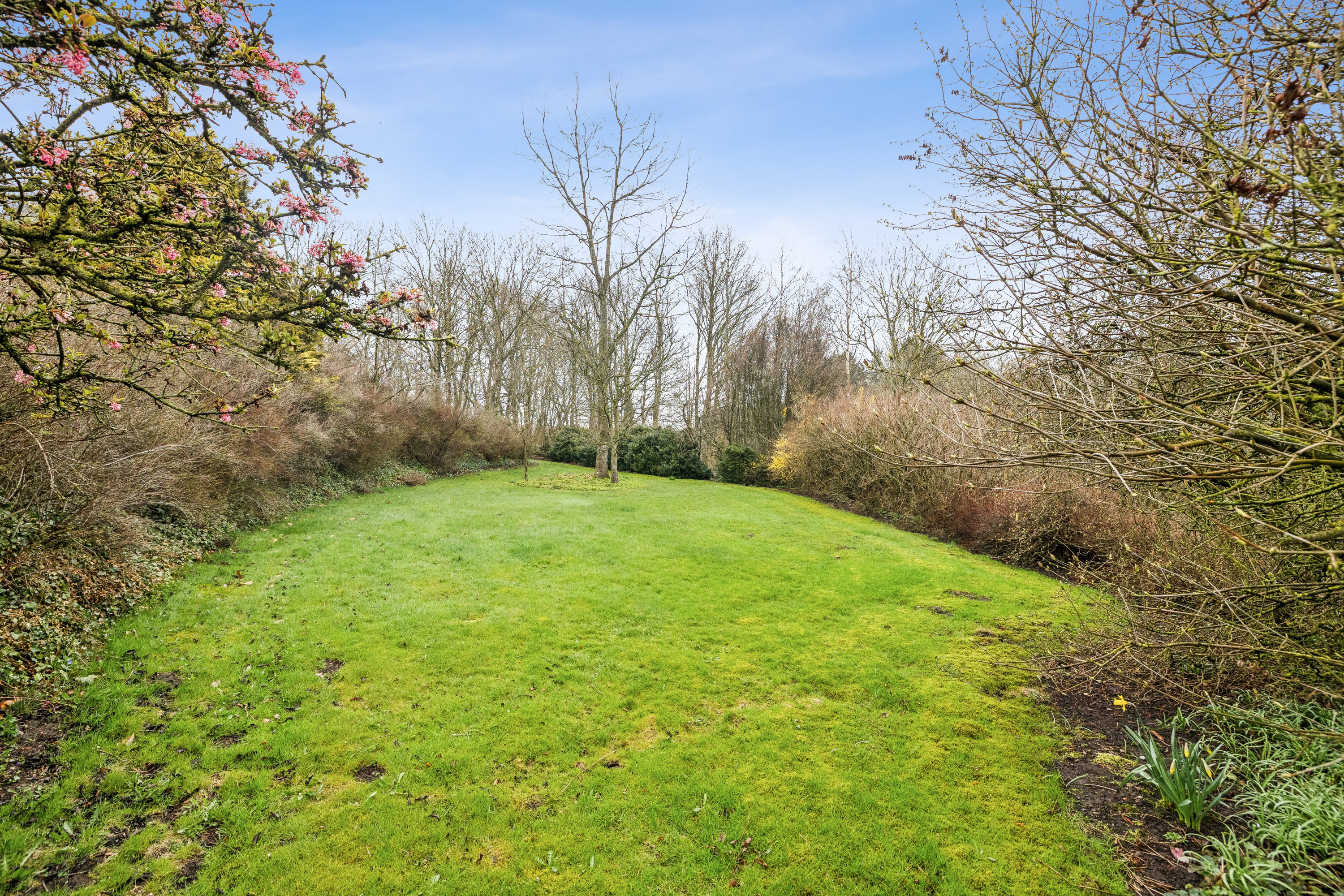 Fremhævet have billede i fuldskærmstilstand. Billede af Nr Redsøvej 2, Redsø, 9500 Hobro