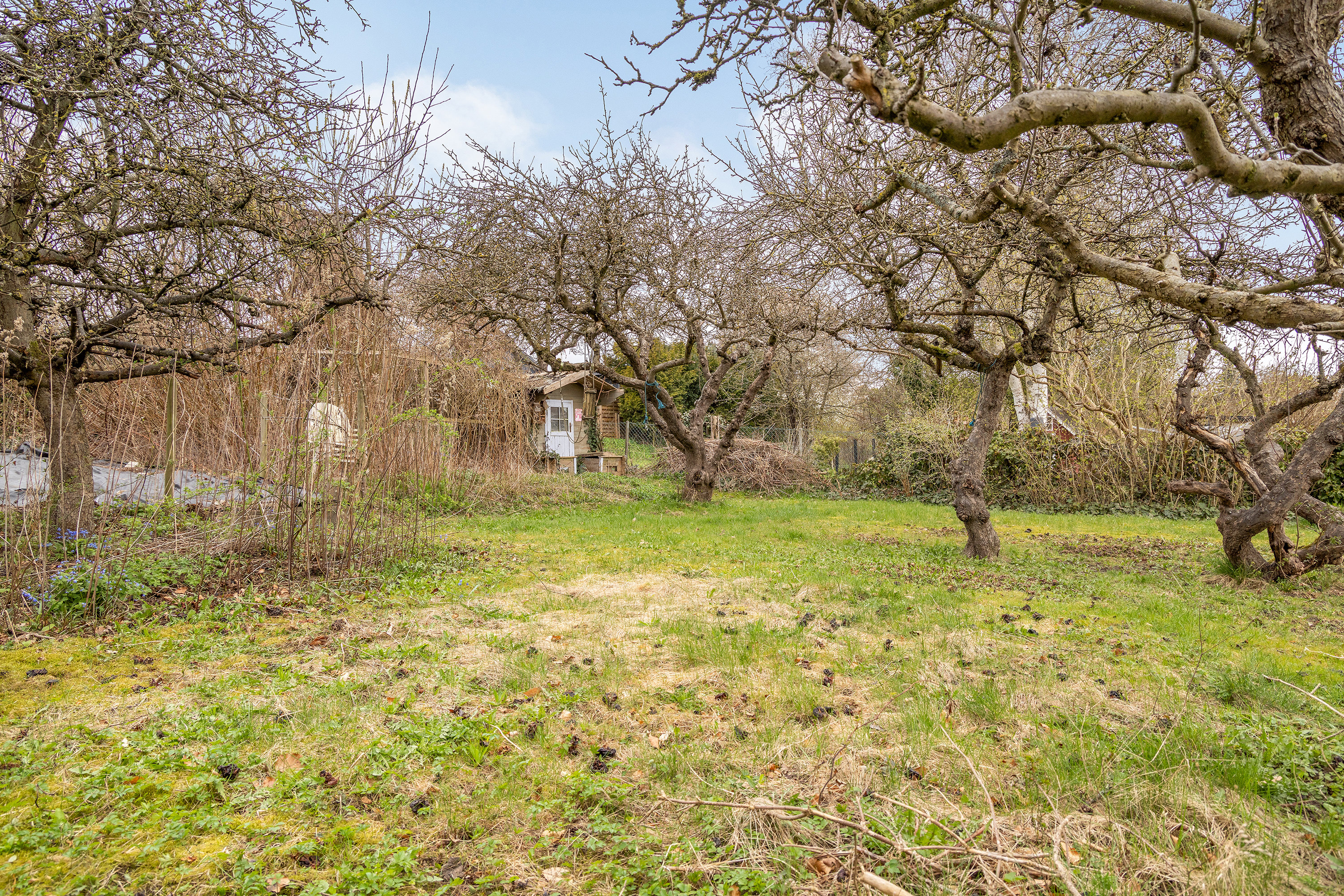 Fremhævet have billede i fuldskærmstilstand. Billede af Kongensgade 59, 3550 Slangerup