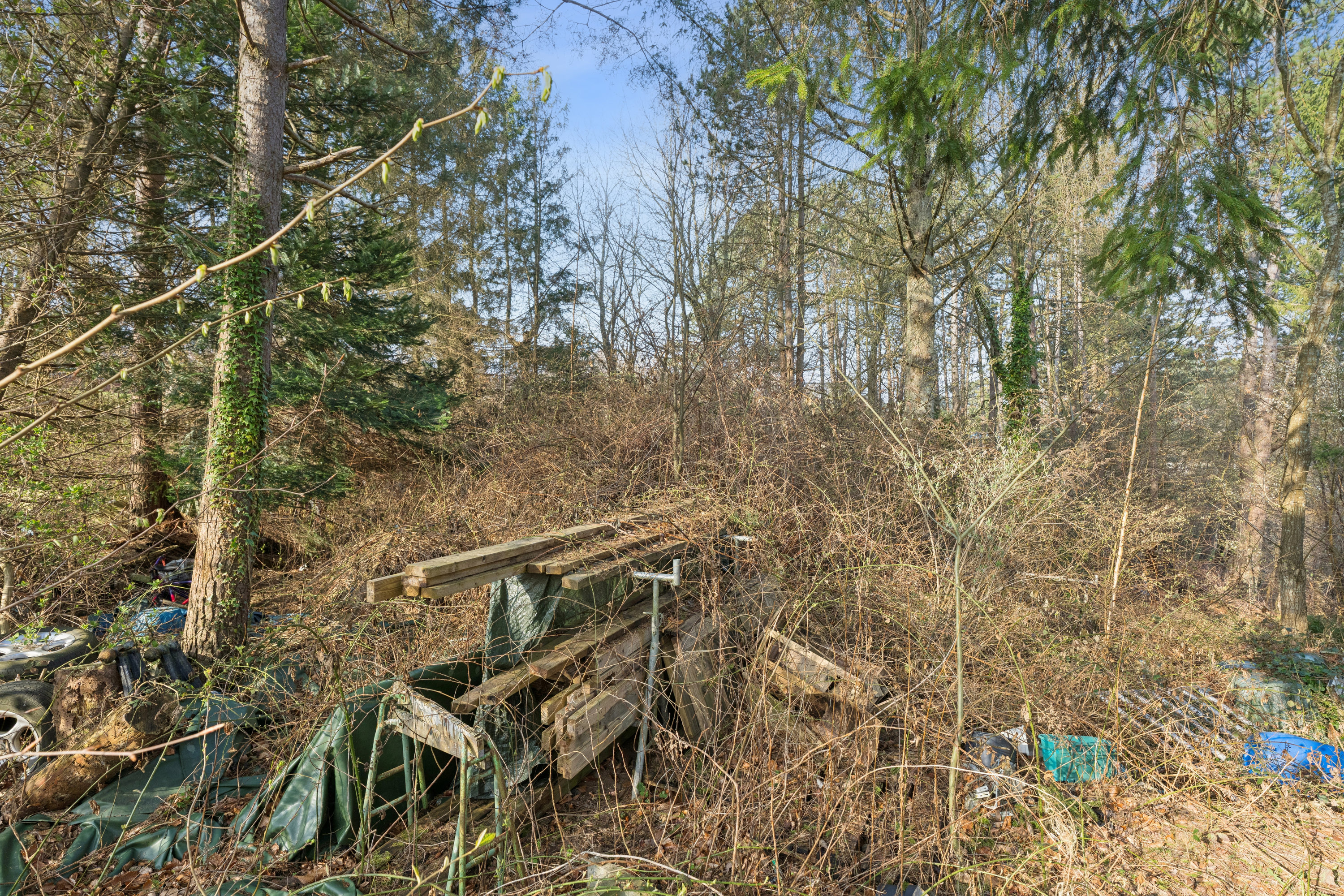Fremhævet andet billede i fuldskærmstilstand. Billede af Skovskadevej 6, Skelhøje Plantage, 8400 Ebeltoft