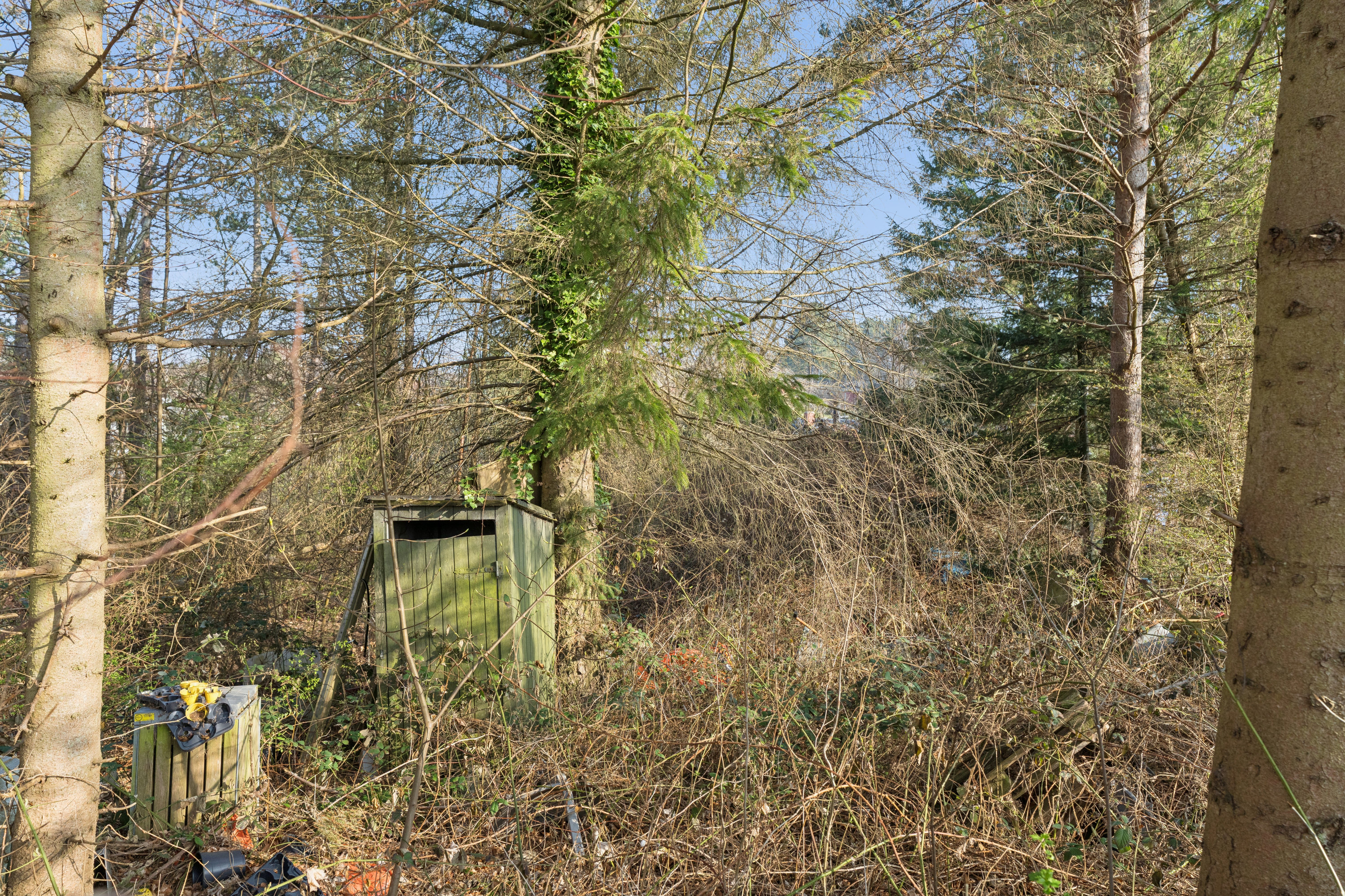 Fremhævet have billede i fuldskærmstilstand. Billede af Skovskadevej 6, Skelhøje Plantage, 8400 Ebeltoft