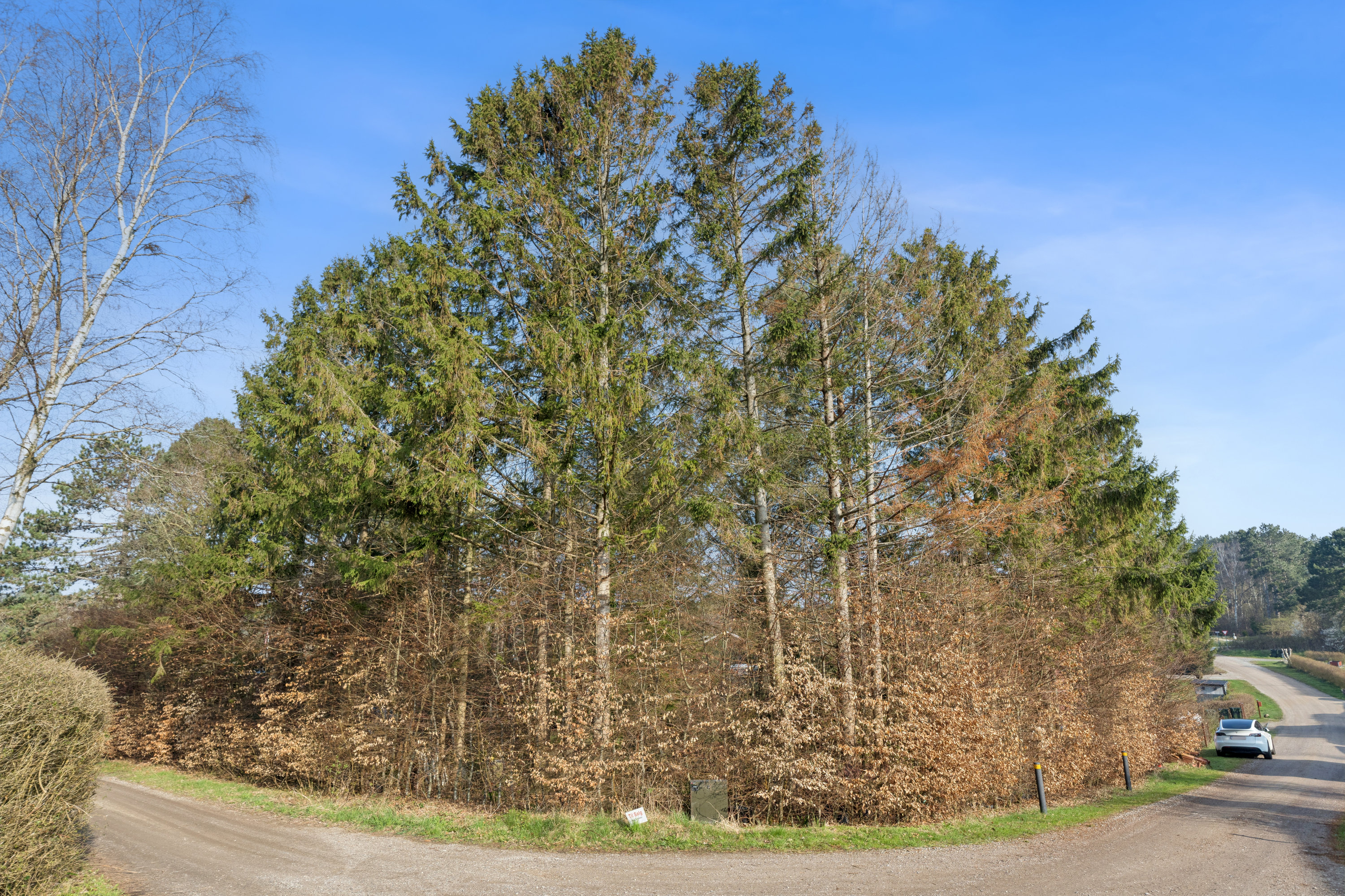 Fremhævet have billede i fuldskærmstilstand. Billede af Skovskadevej 6, Skelhøje Plantage, 8400 Ebeltoft