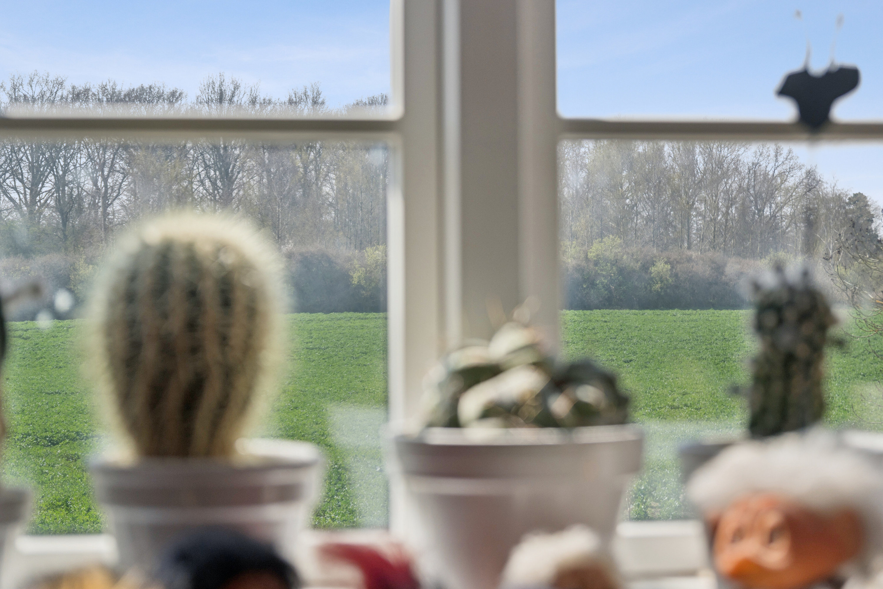 Fremhævet indendørs billede i fuldskærmstilstand. Billede af Rendebakken 11, Gelsted, 4160 Herlufmagle