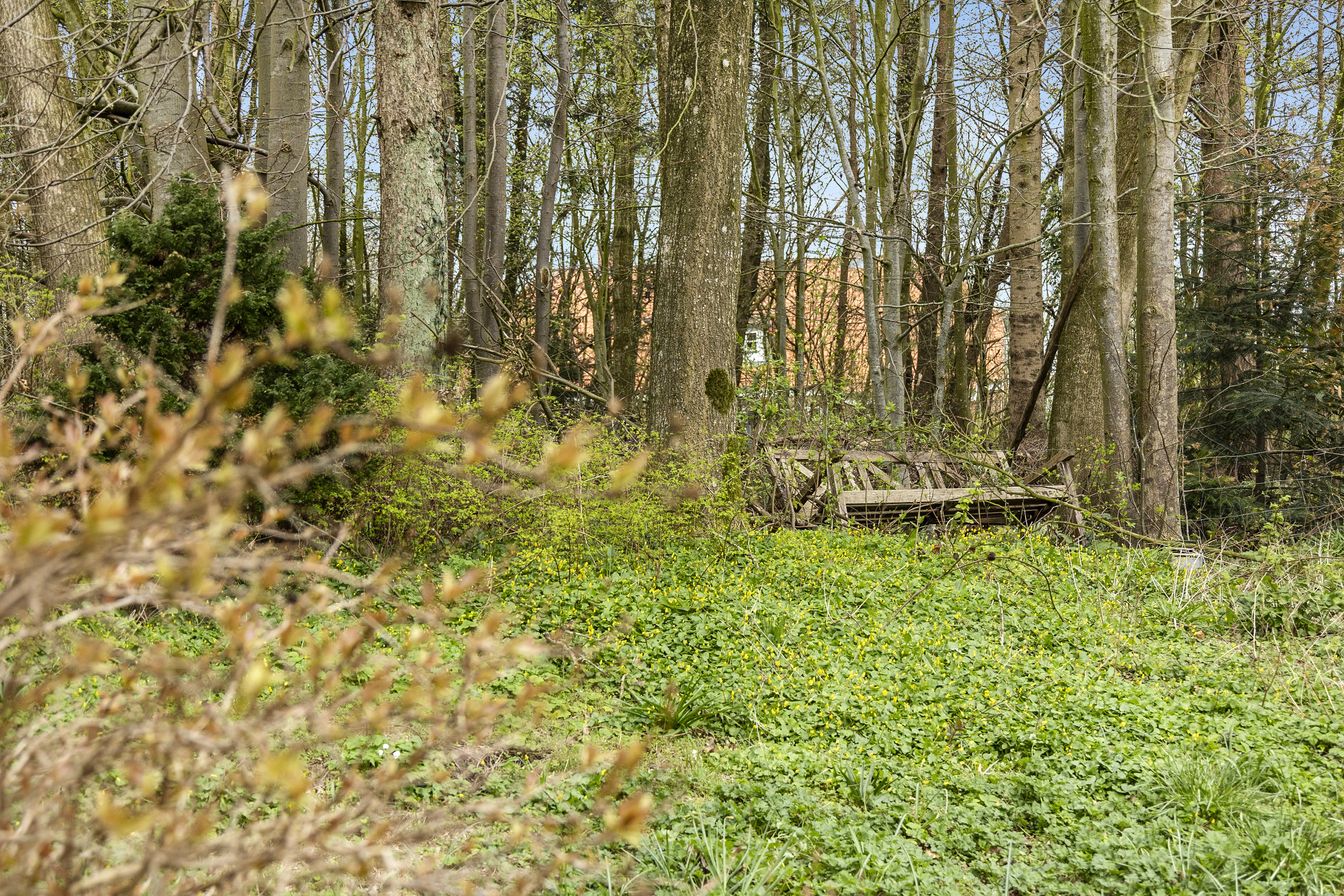 Fremhævet område billede i fuldskærmstilstand. Billede af Bobølvej 8, 6683 Føvling