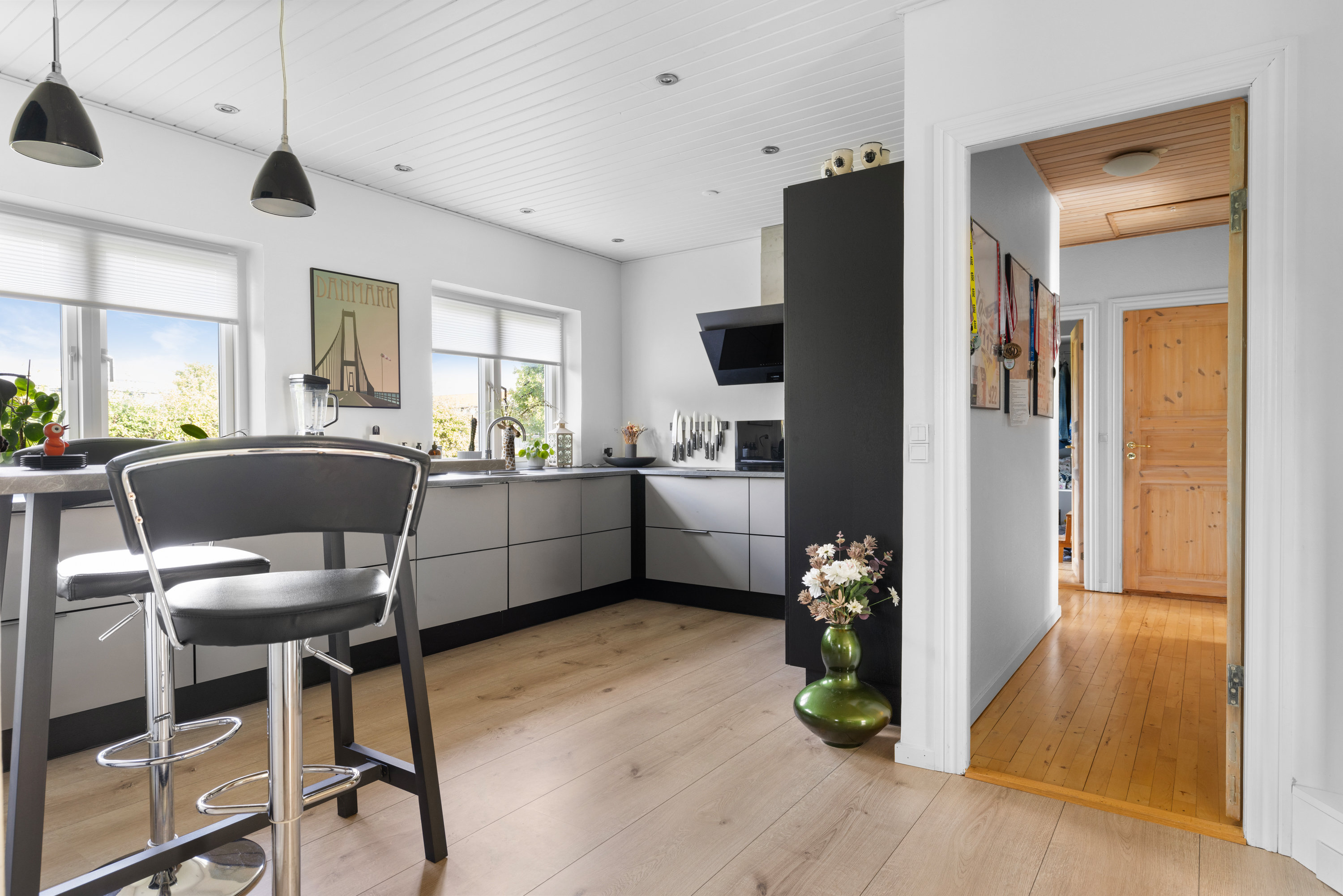 Fremhævet køkken billede i fuldskærmstilstand. Billede af Prangervej 179, 7000 Fredericia