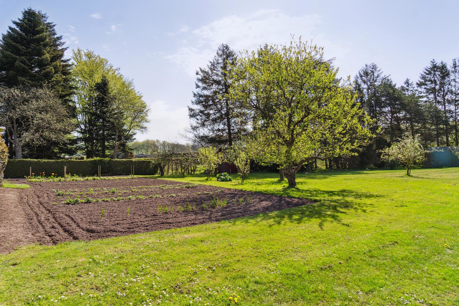 Fremhævet  billede i fuldskærmstilstand. Billede af Holmdrupvej 6, Tved, 5700 Svendborg