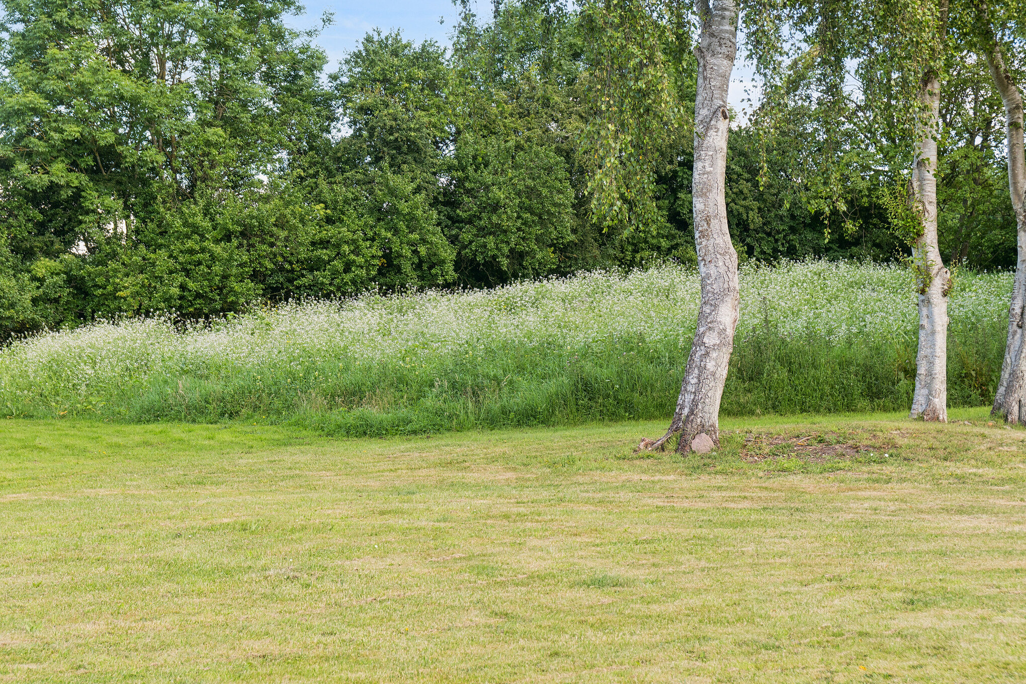 Fremhævet  billede i fuldskærmstilstand. Billede af Bjergevej 16, Faurskov, 5560 Aarup