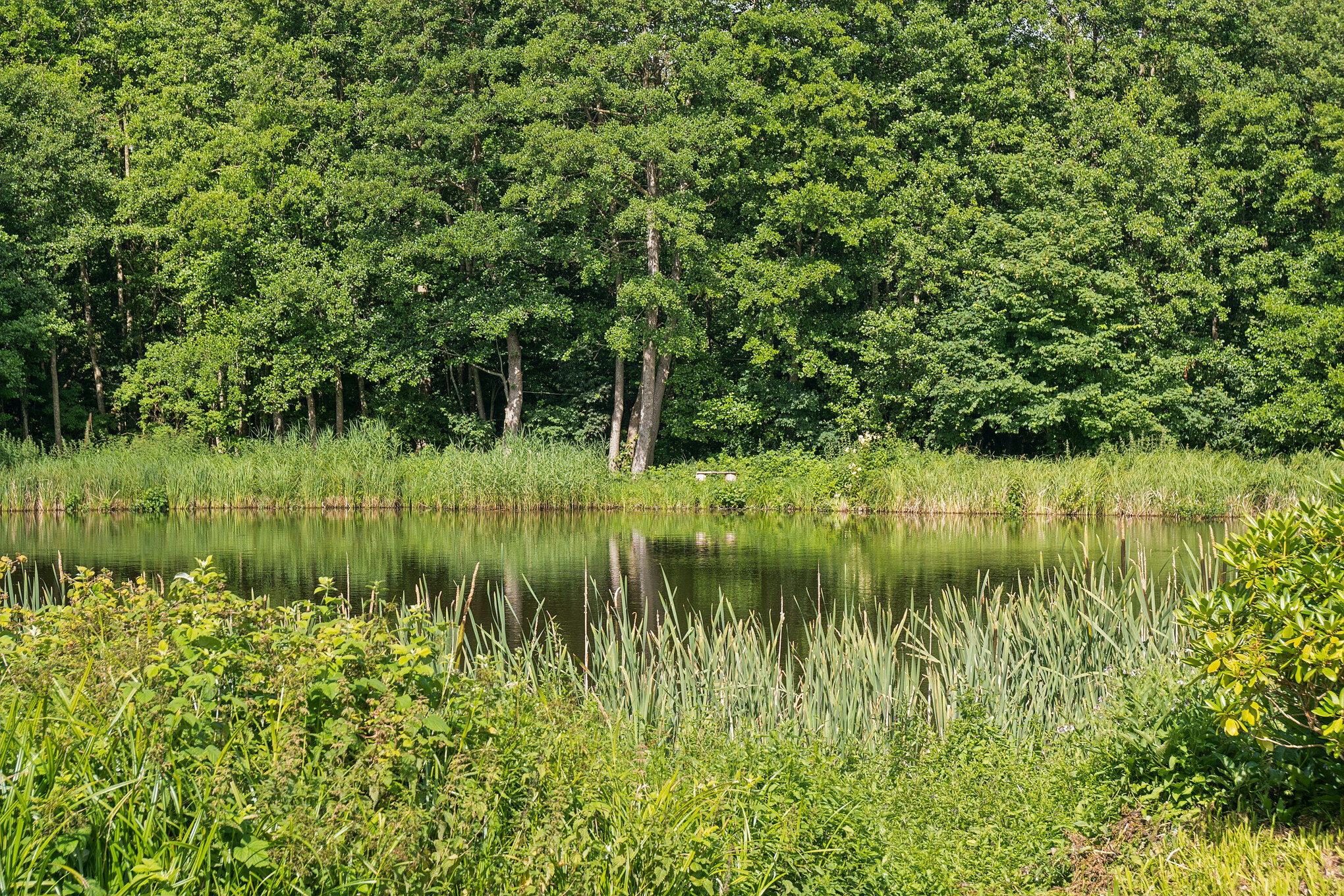 Fremhævet  billede i fuldskærmstilstand. Billede af Bjergevej 16, Faurskov, 5560 Aarup