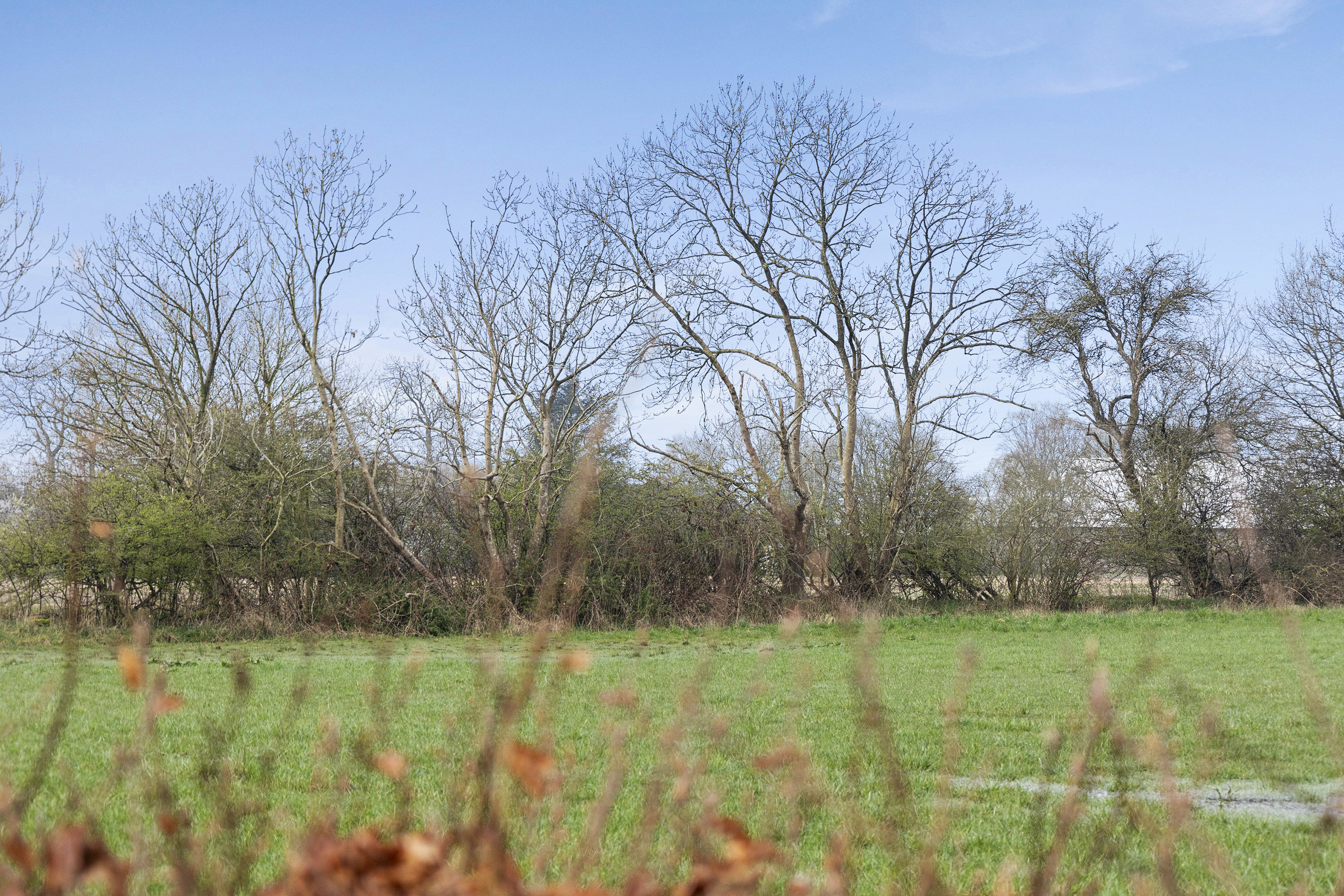 Fremhævet område billede i fuldskærmstilstand. Billede af Skravevej 2, Københoved, 6630 Rødding