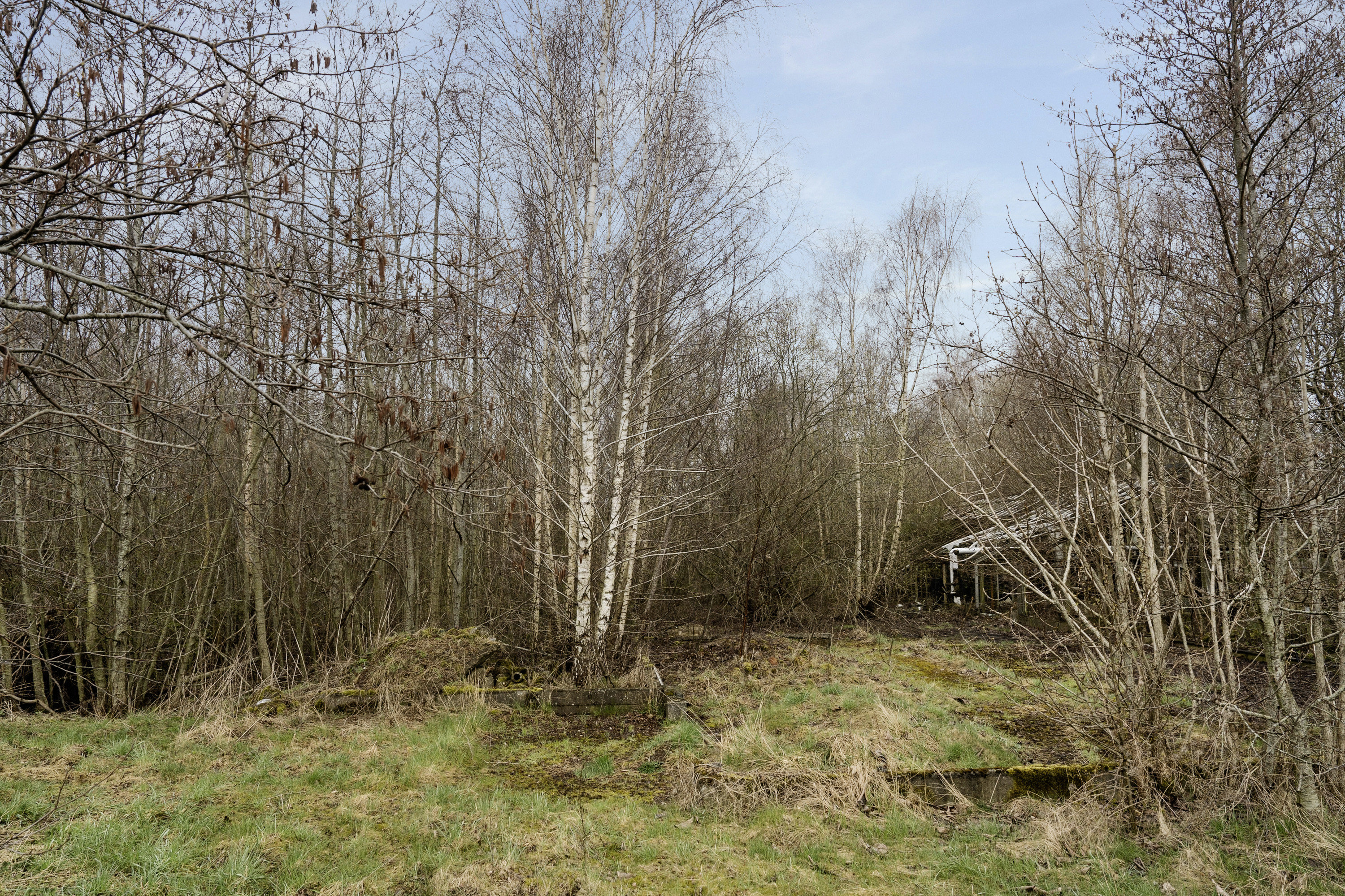 Fremhævet  billede i fuldskærmstilstand. Billede af Ved Smedebækken 1, Bråskov, 8783 Hornsyld