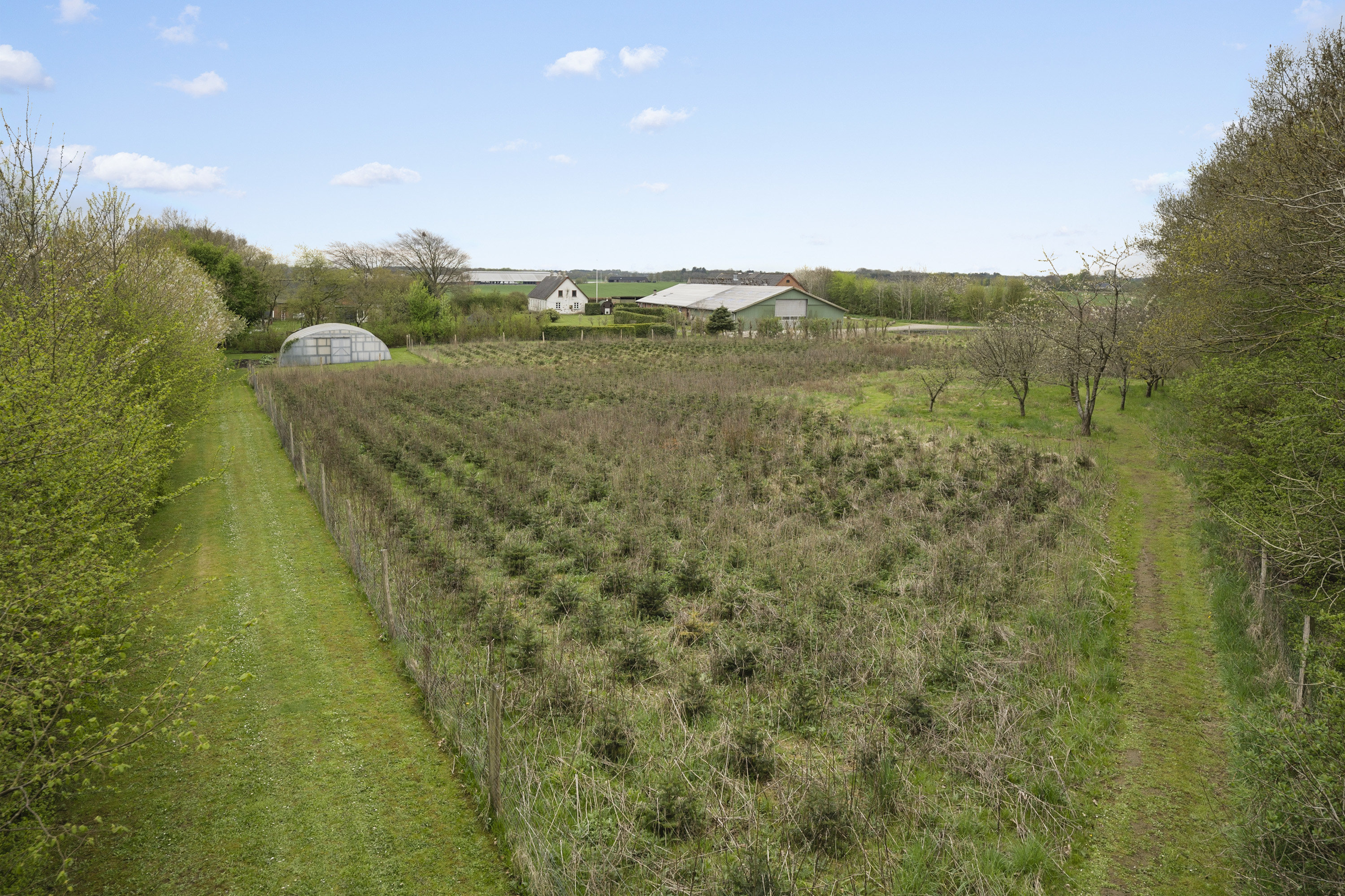 Fremhævet  billede i fuldskærmstilstand. Billede af Haugevej 18, Skovhus, 8620 Kjellerup