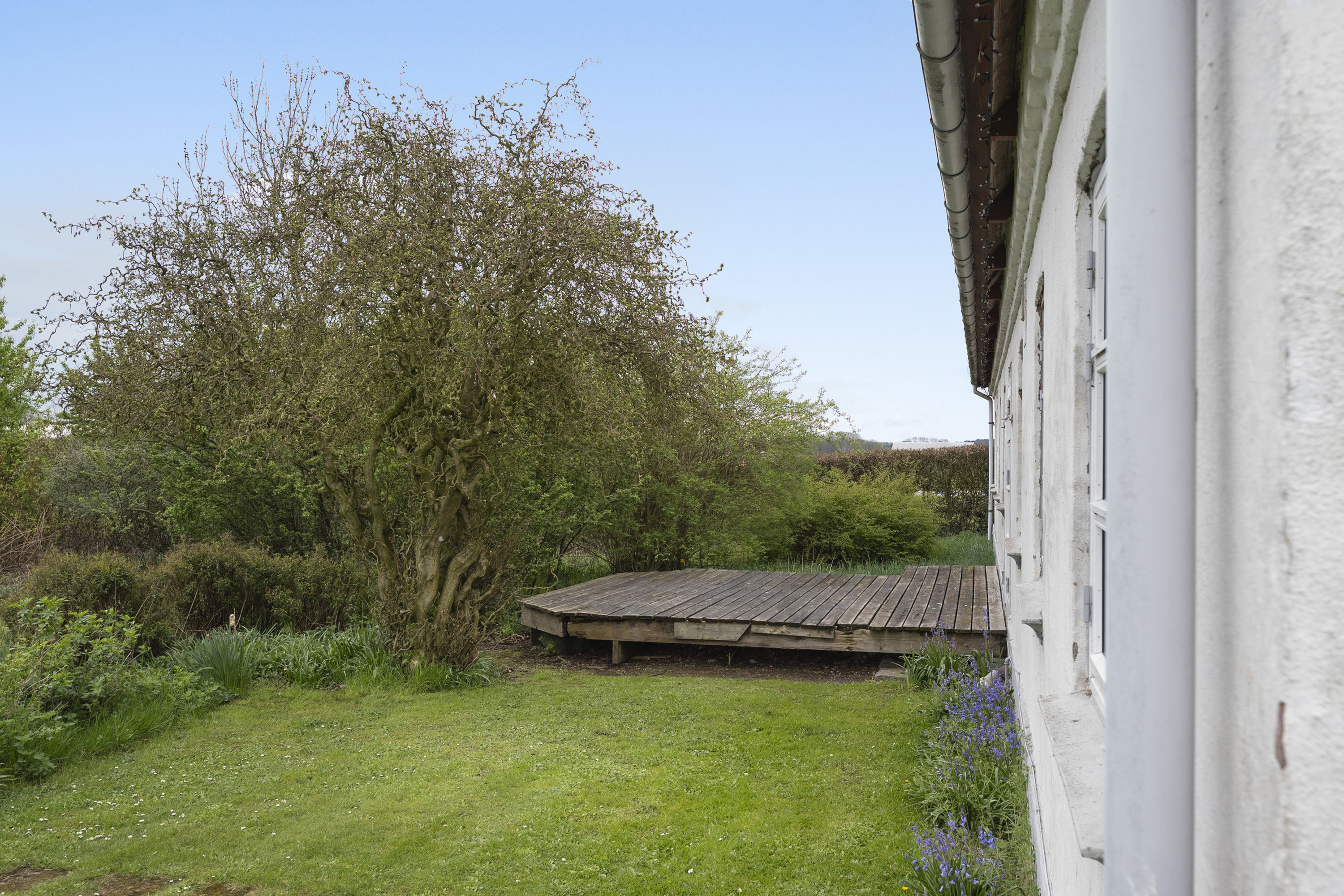 Fremhævet  billede i fuldskærmstilstand. Billede af Haugevej 18, Skovhus, 8620 Kjellerup