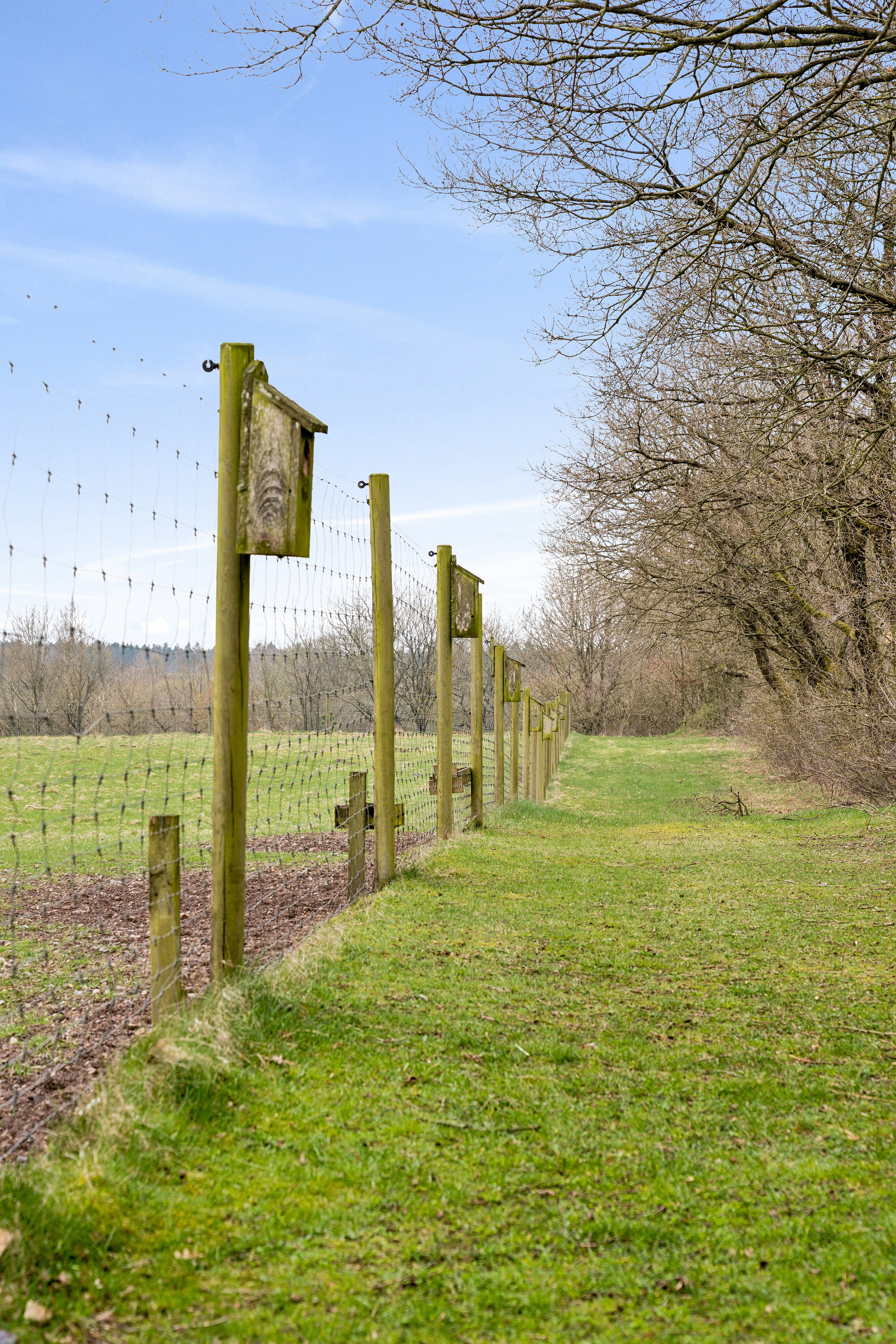 Fremhævet udendørs billede i fuldskærmstilstand. Billede af Løvlundvej 17, 7190 Billund