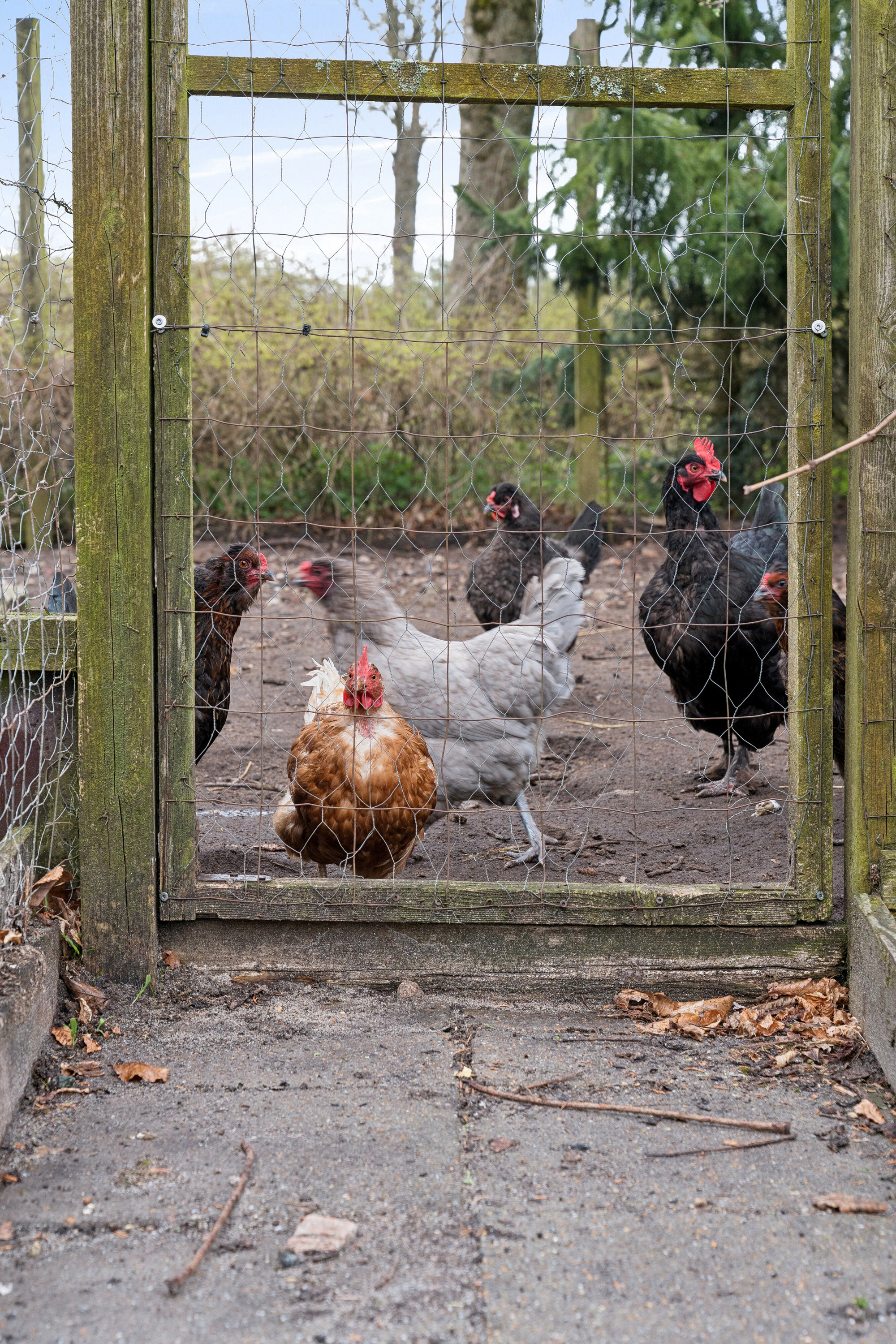 Fremhævet udendørs billede i fuldskærmstilstand. Billede af Løvlundvej 17, 7190 Billund