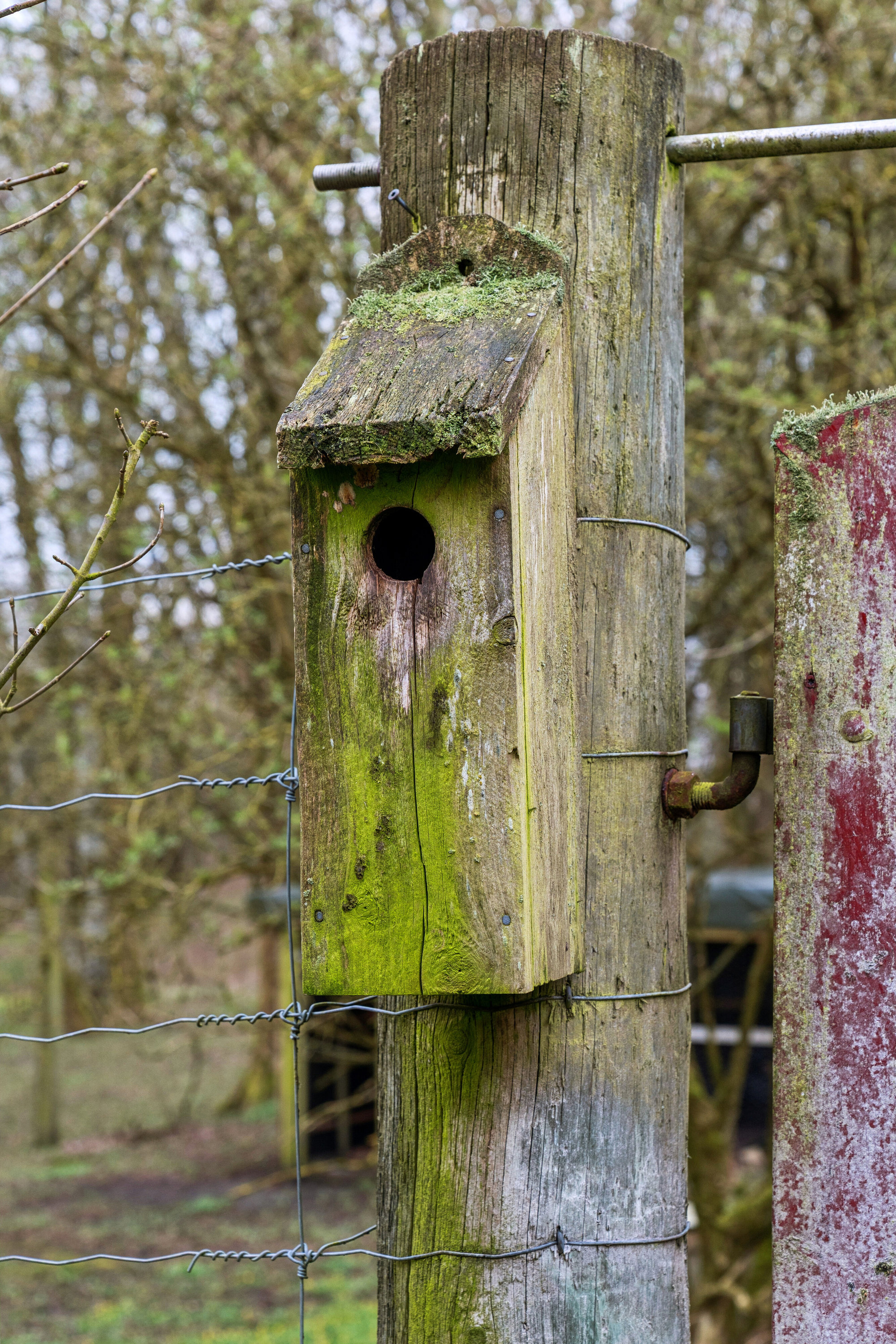 Fremhævet udendørs billede i fuldskærmstilstand. Billede af Løvlundvej 17, 7190 Billund