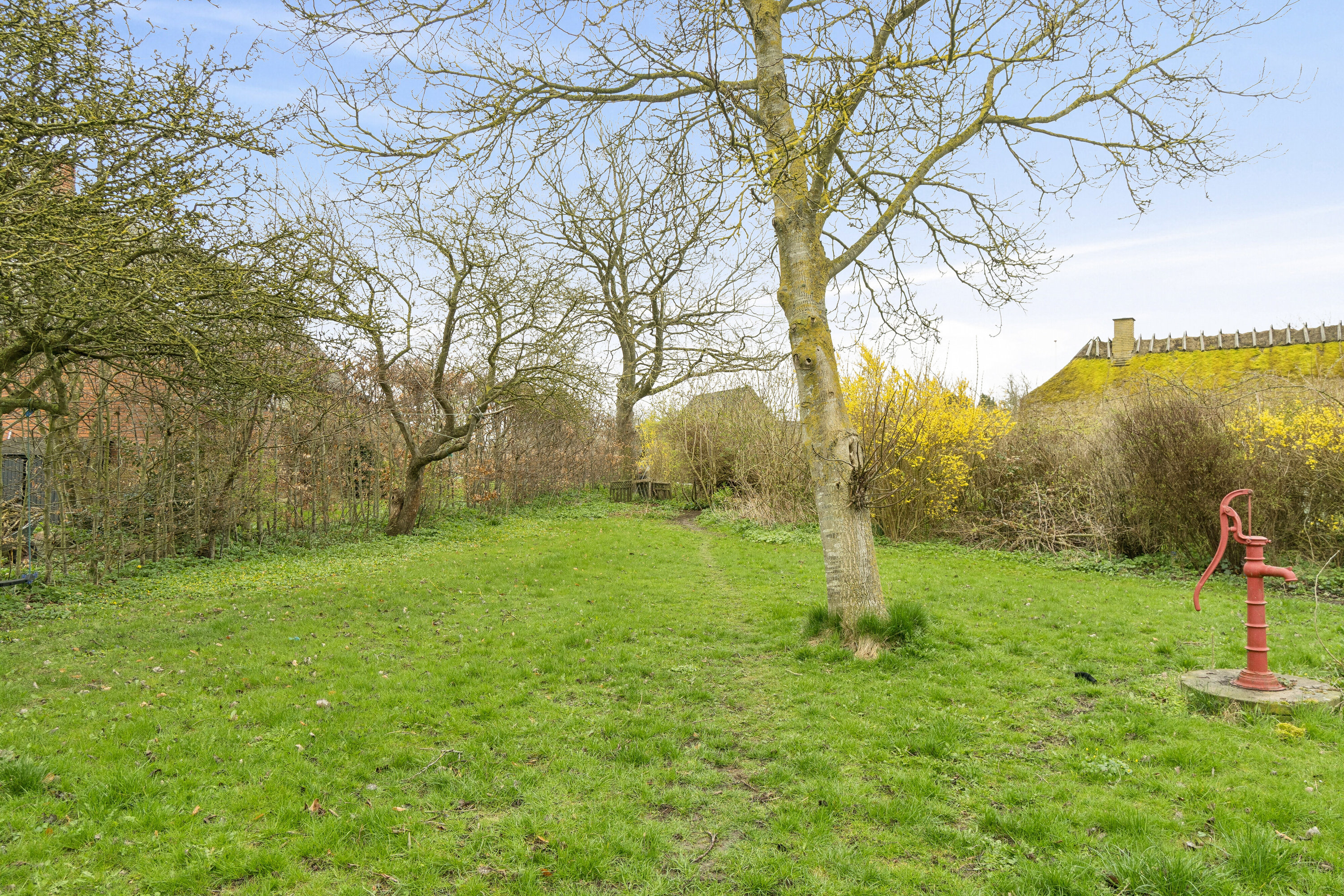 Fremhævet have billede i fuldskærmstilstand. Billede af Krænkerupvej 25, Havrebjerg, 4200 Slagelse