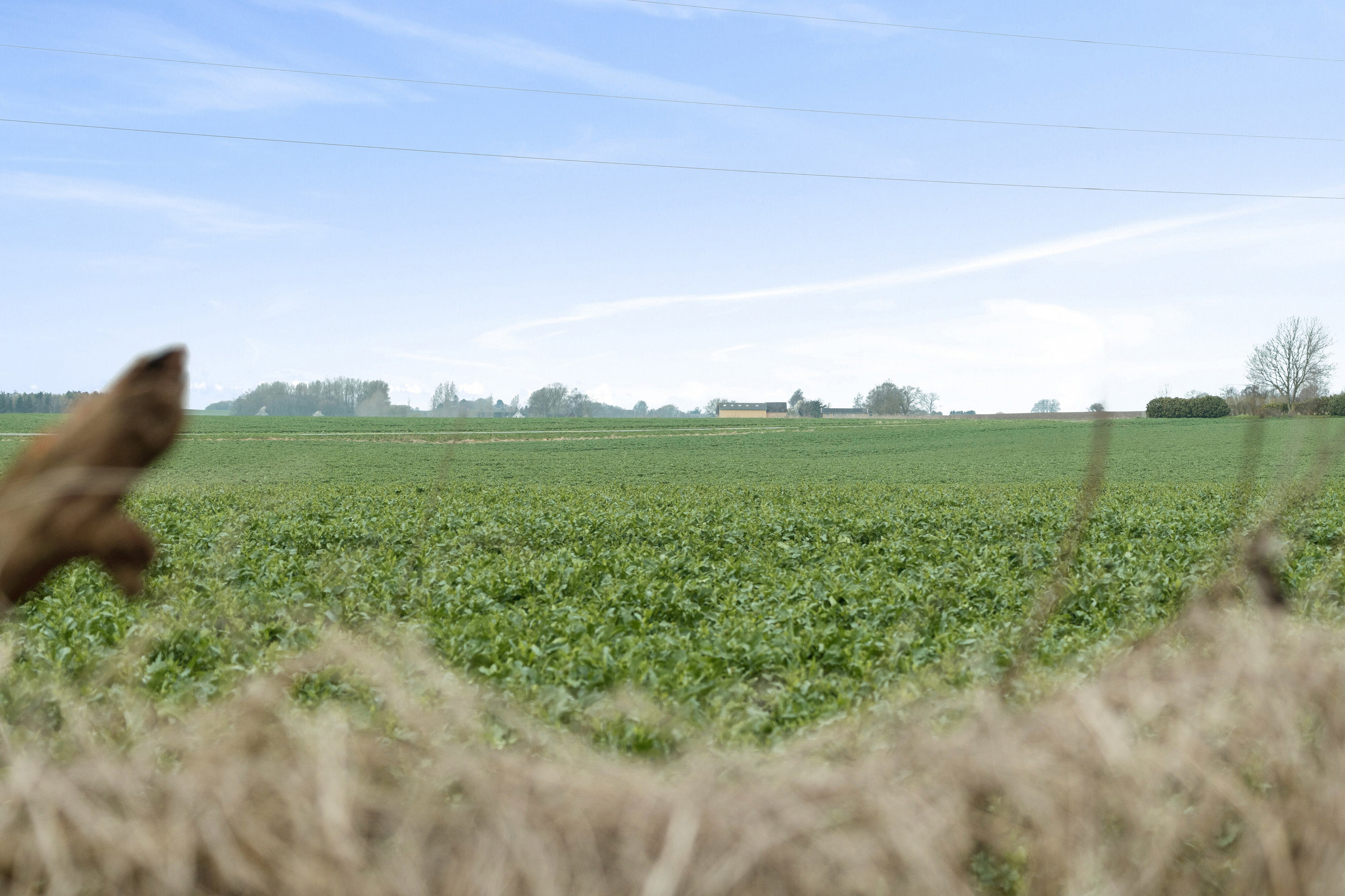 Fremhævet udsigt billede i fuldskærmstilstand. Billede af Krænkerupvej 25, Havrebjerg, 4200 Slagelse