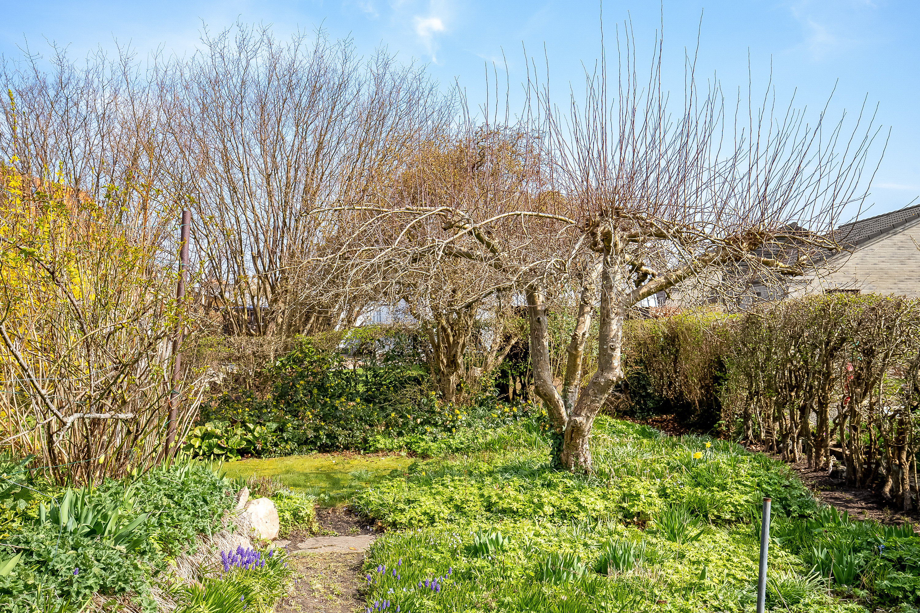 Fremhævet have billede i fuldskærmstilstand. Billede af Dr. Dorotheas Vej 5, 6000 Kolding