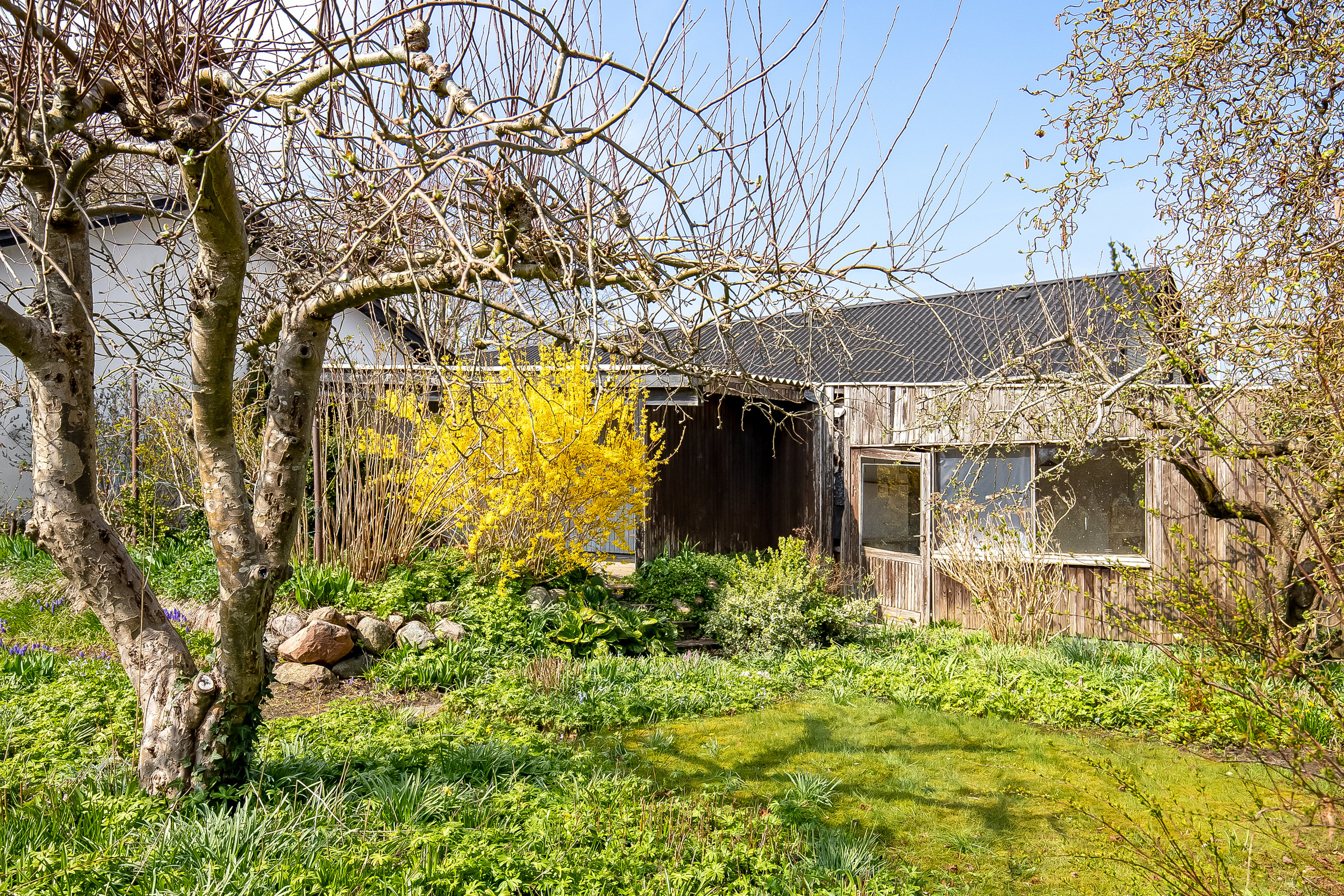 Fremhævet have billede i fuldskærmstilstand. Billede af Dr. Dorotheas Vej 5, 6000 Kolding